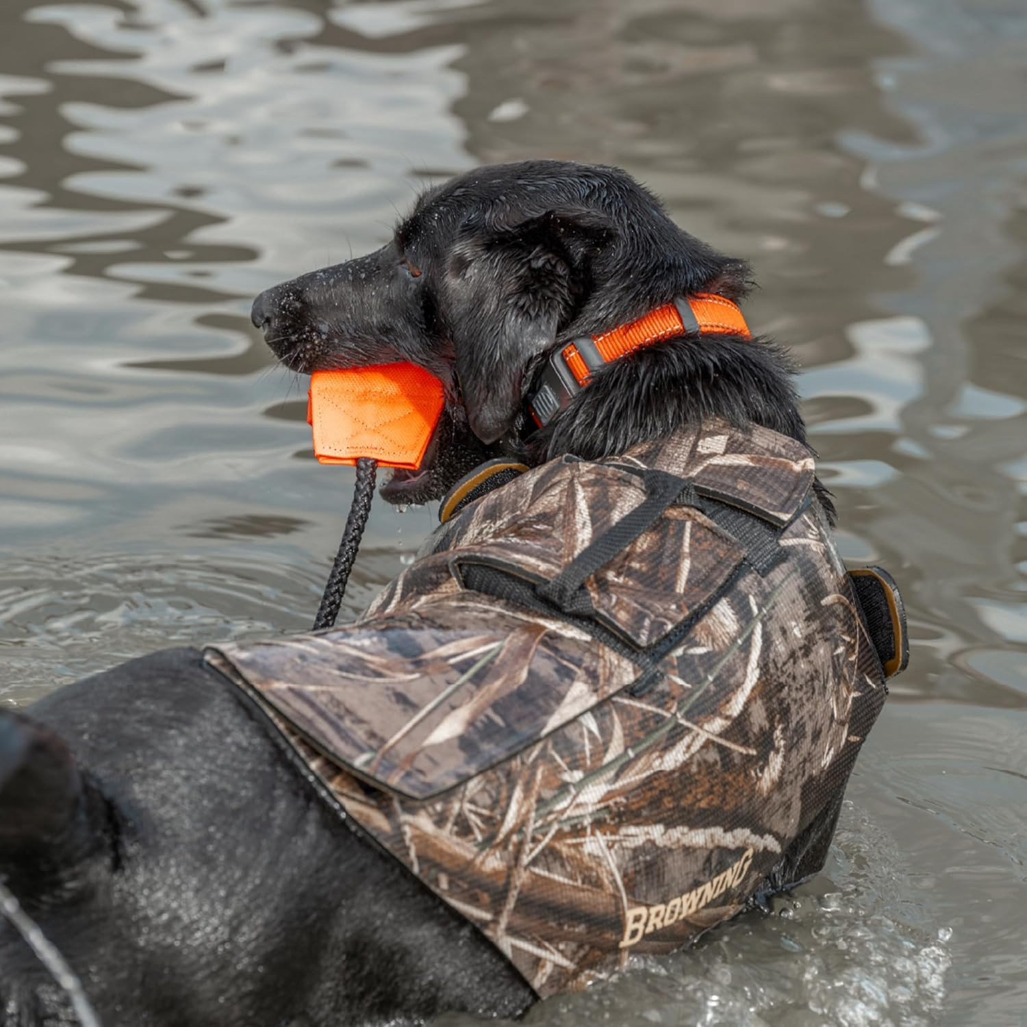 Browning Camo Neoprene Dog Vests, Full Coverage Hunting Dog Vest with Flexible Chest Plate, Realtree MAX-5 (5Mm), Orange image number 4