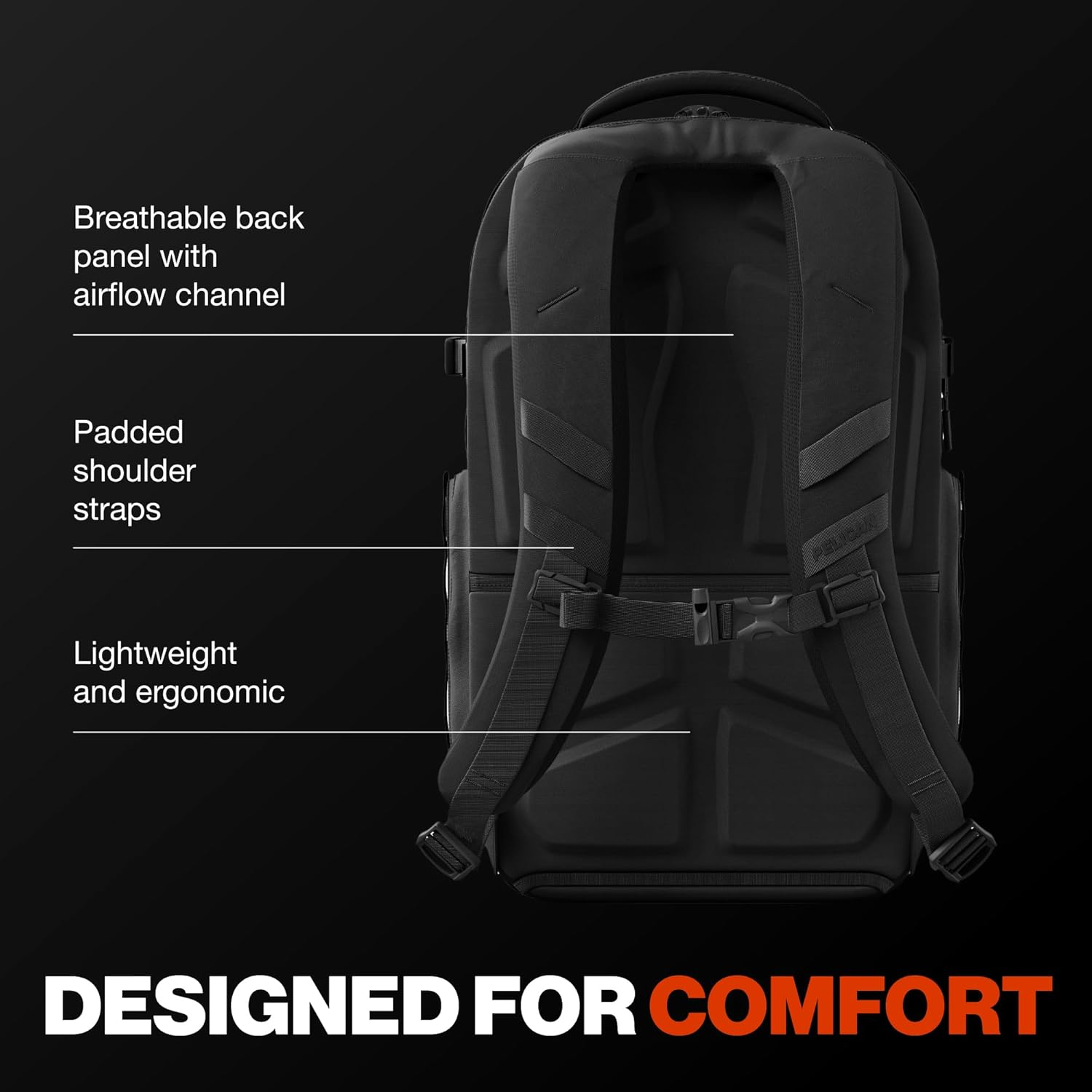 Pelican Pelican image number 6