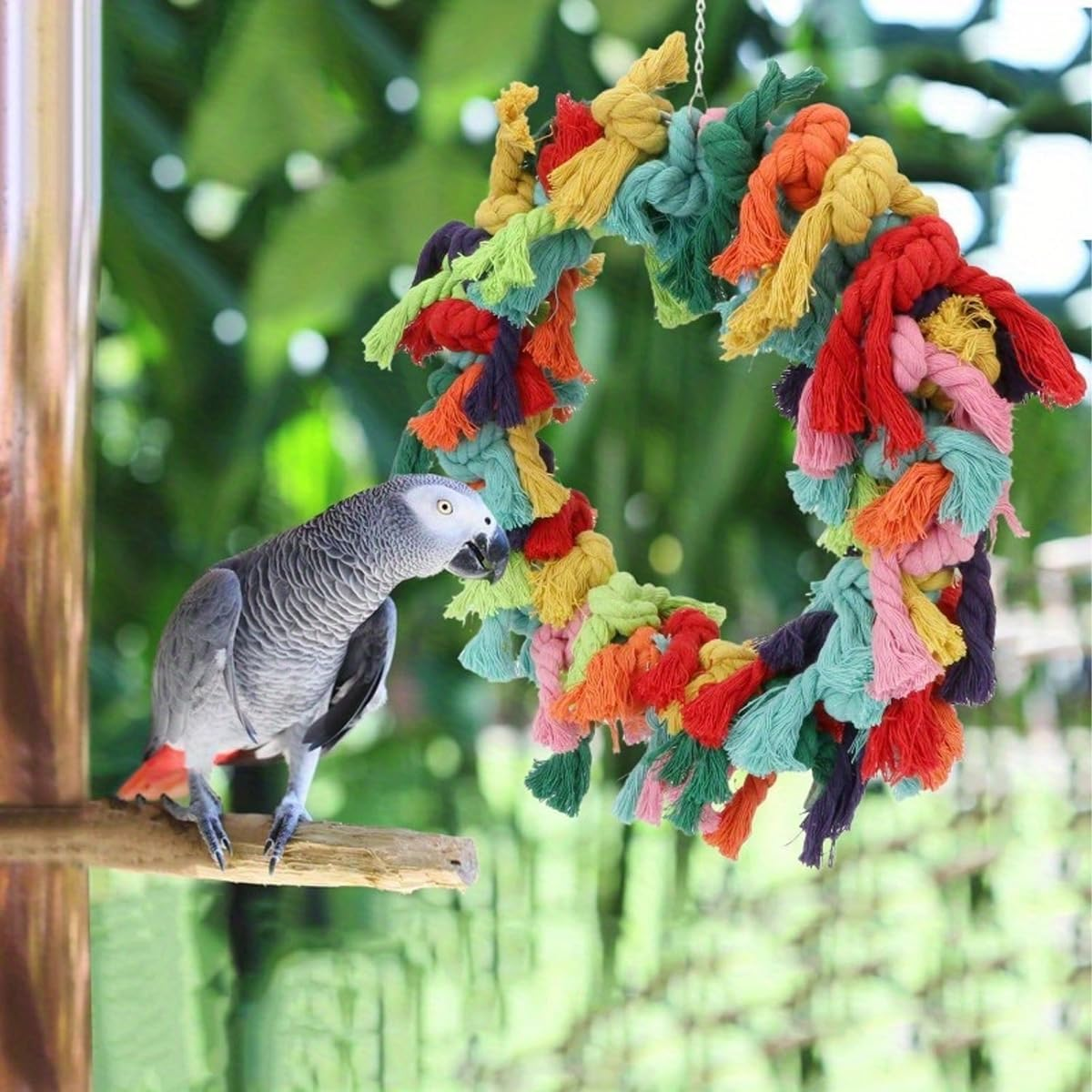 AIMALL Large Cotton Rope Ring Bird Toy for Parrots - 11.8 Inch, Colourful Parrot Swing and Biting Chew Toy, Fun Bird Activity Ring, 366G image number 3