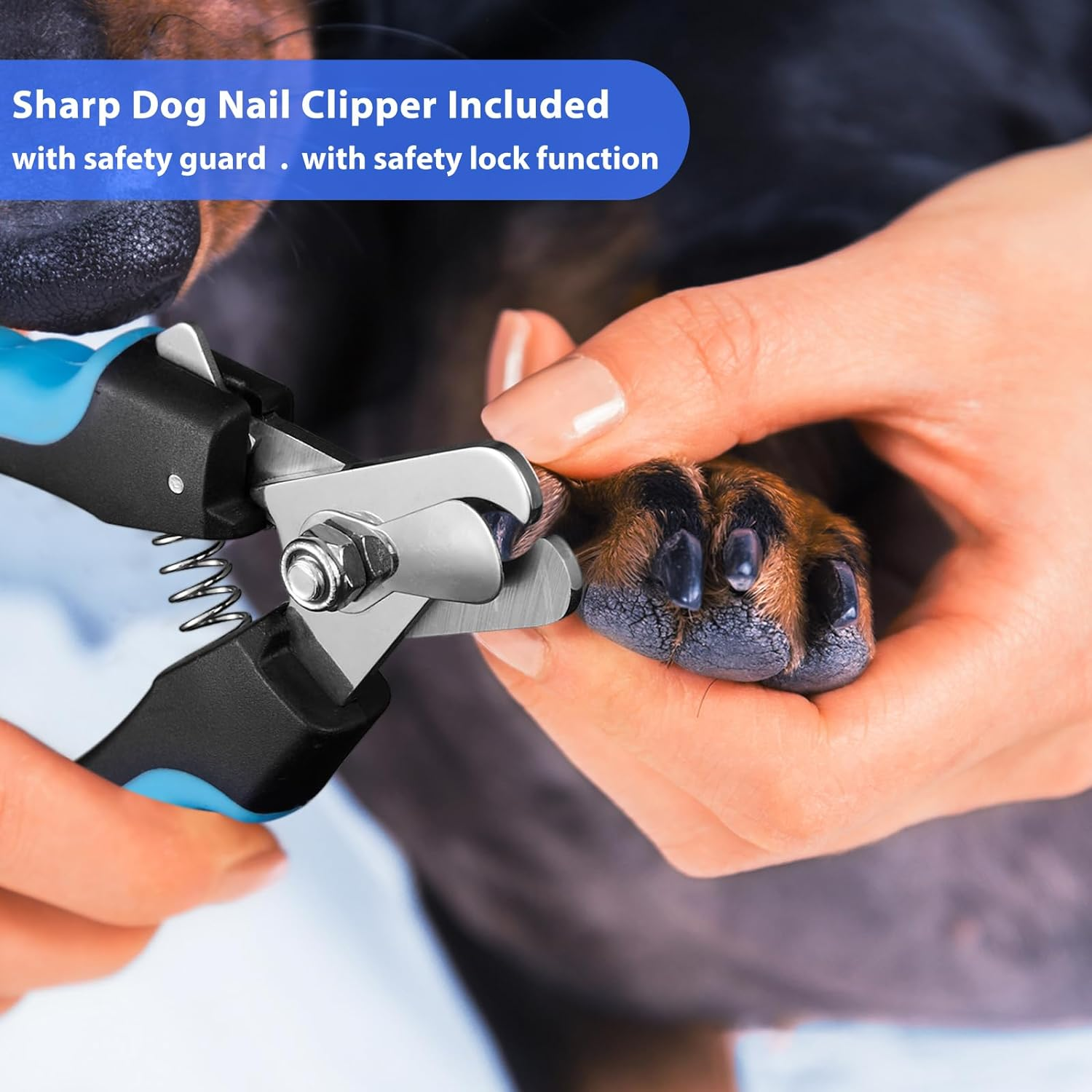 YABIFE Claw Grinder for Dogs, Electric Dog Claw Cutter, Super Quiet Dog Claw File, Animal Claw Grinder for Small Large Dogs Cats Claw Care & Pet Care, 3 Speeds image number 5