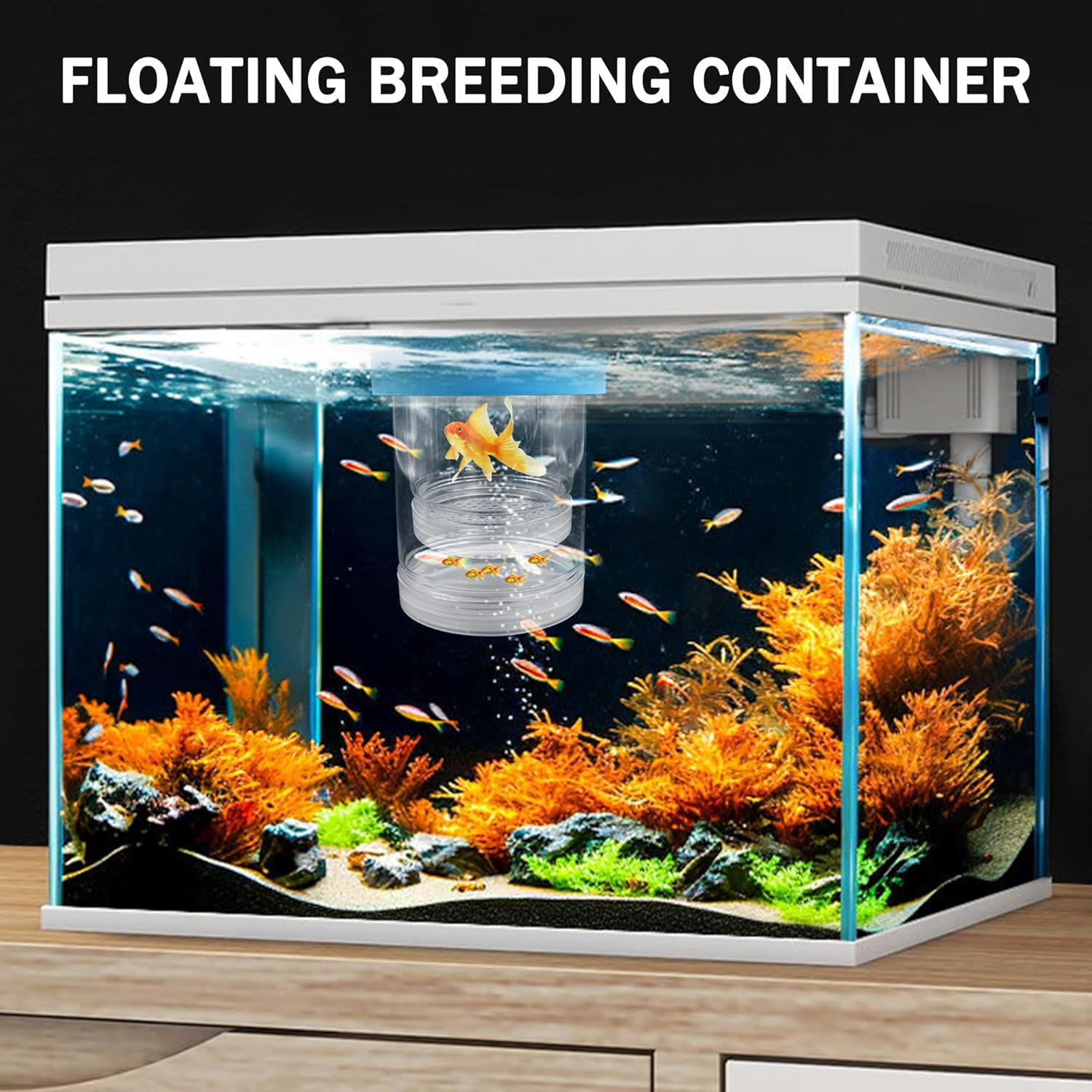 Small Floating Fish Breeding Box, Plastic Breeding Box for Fish Tank with Suction Cup, Clear Aquarium Divider Incubator, Adjustable Isolation Hatchery for Shrimp Guppy (Small) image number 1