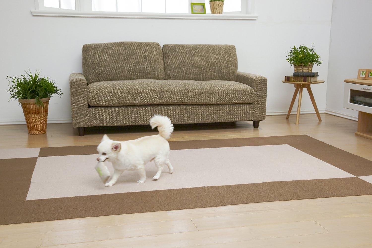 Sanko OF-81 Pet Water Repellent Tile Mat, 9.8 X 9.8 Inches (25 X 25 Cm), Set of 100, Brown & Beige Set, Dogs, Cats, Sanko, Carpet, Made in Japan, Water Repellent, Deodorizing, Washable, Can Be Cut image number 1