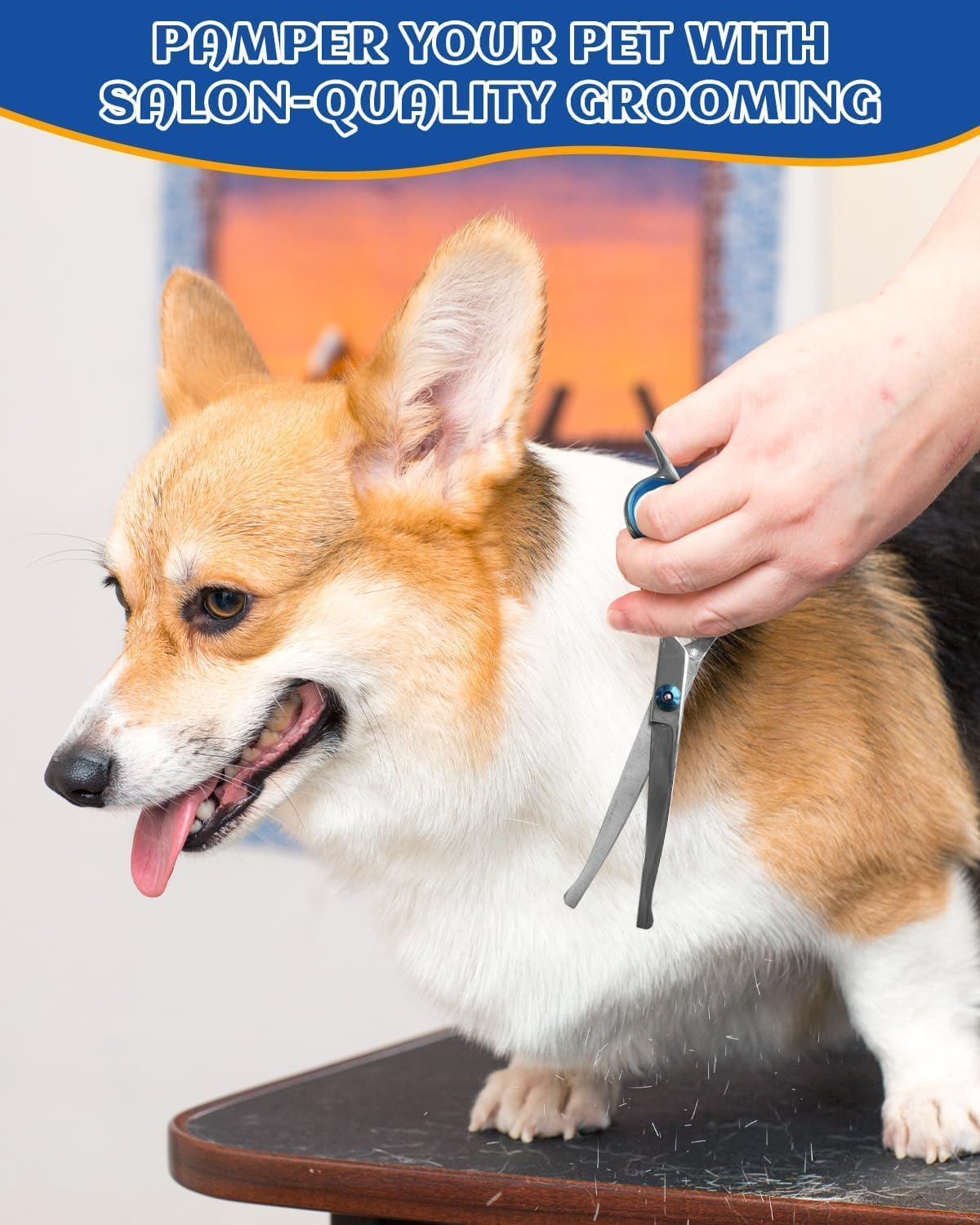 Limcryspp 2 Pieces of Pet Scissors with Steel Comb, Heavy-Duty Titanium Pet Grooming Trim Kit, Professional Thinning Scissors, Bending Scissors with Comb for Dogs and Cats image number 5