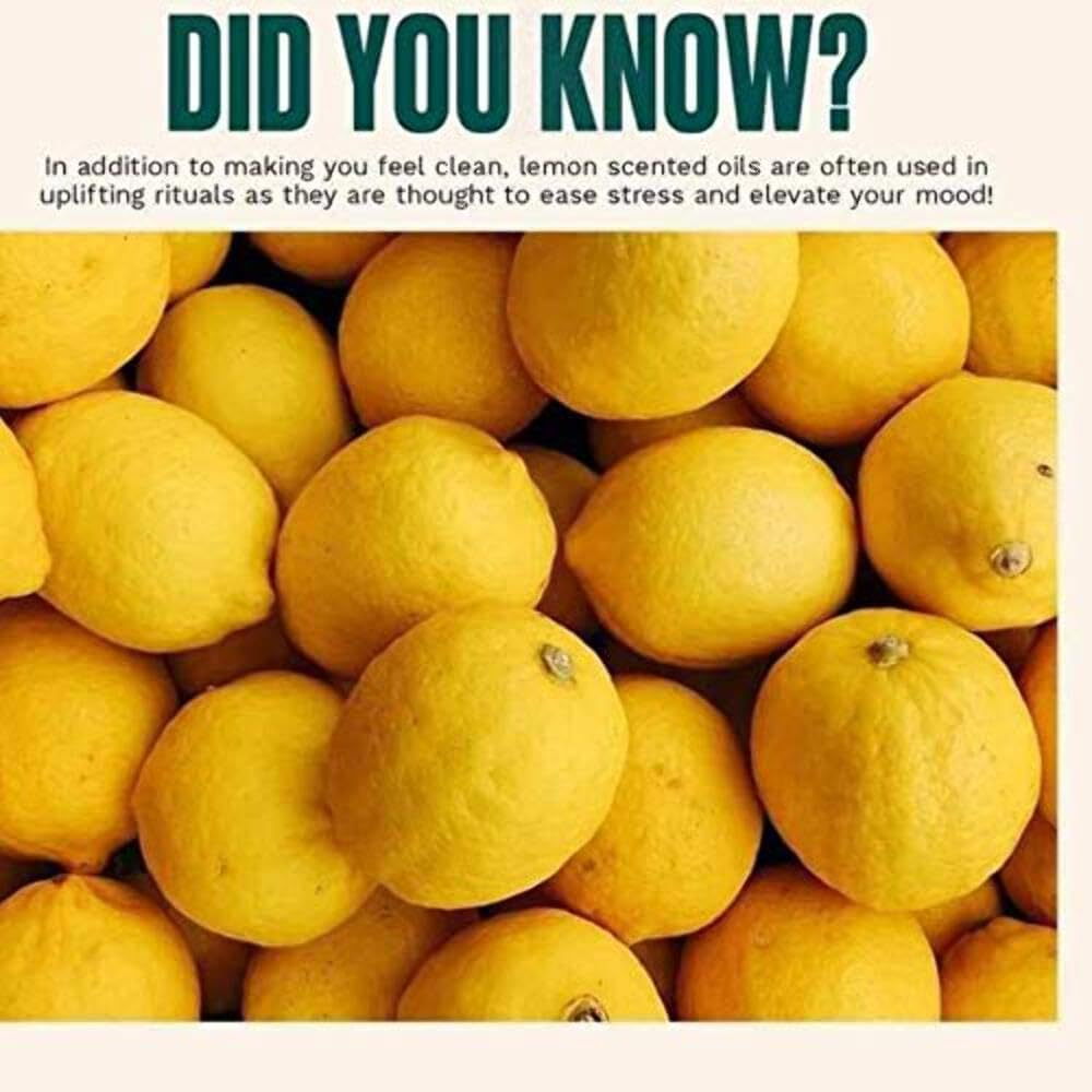 THE BODY SHOP Lemon Purifying Hand Wash INTENSELY CLEANSING HAND WASH PURIFY and PROTECT SKIN image number 2