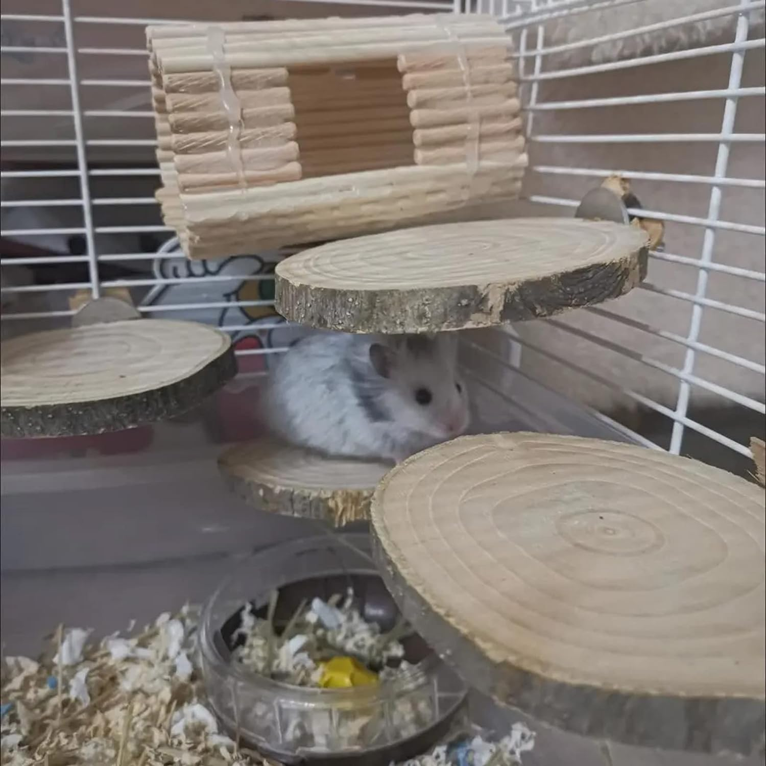 THJOPOKEEL 12 Set Bird Cage Feeder Stand Perches Accessories Hardware - 12Pcs Wing Nut 12Pcs Set Screw and 12Pcs Flat Washer Hamster Board Pole Fixing Breeding Box Screws image number 3