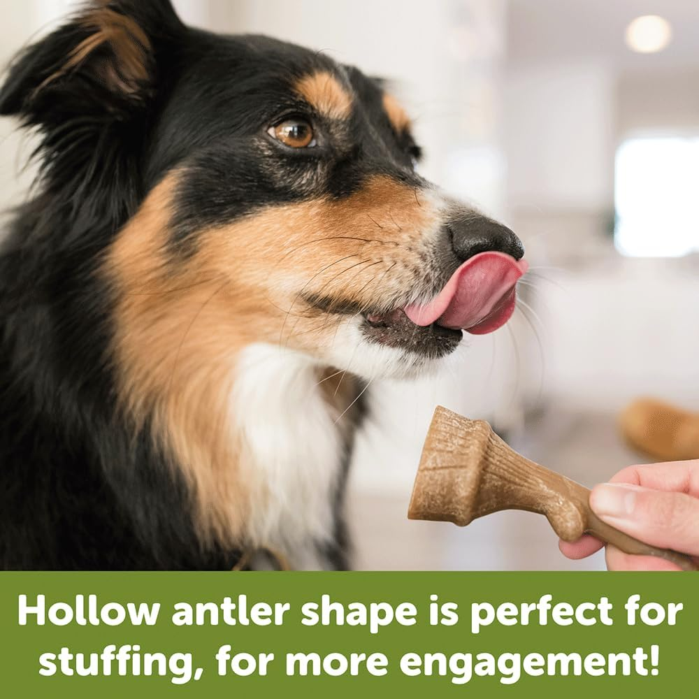 WHIMZEES Antler Dental Dog Treats, Bulk Box, Large (18-27Kg Dogs), Natural Daily Dental Chews (22 Count) image number 4