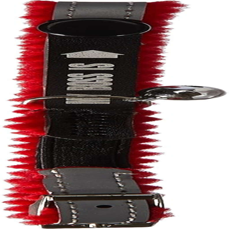 Nobby Address My Boss Is Cat Collar image number 1