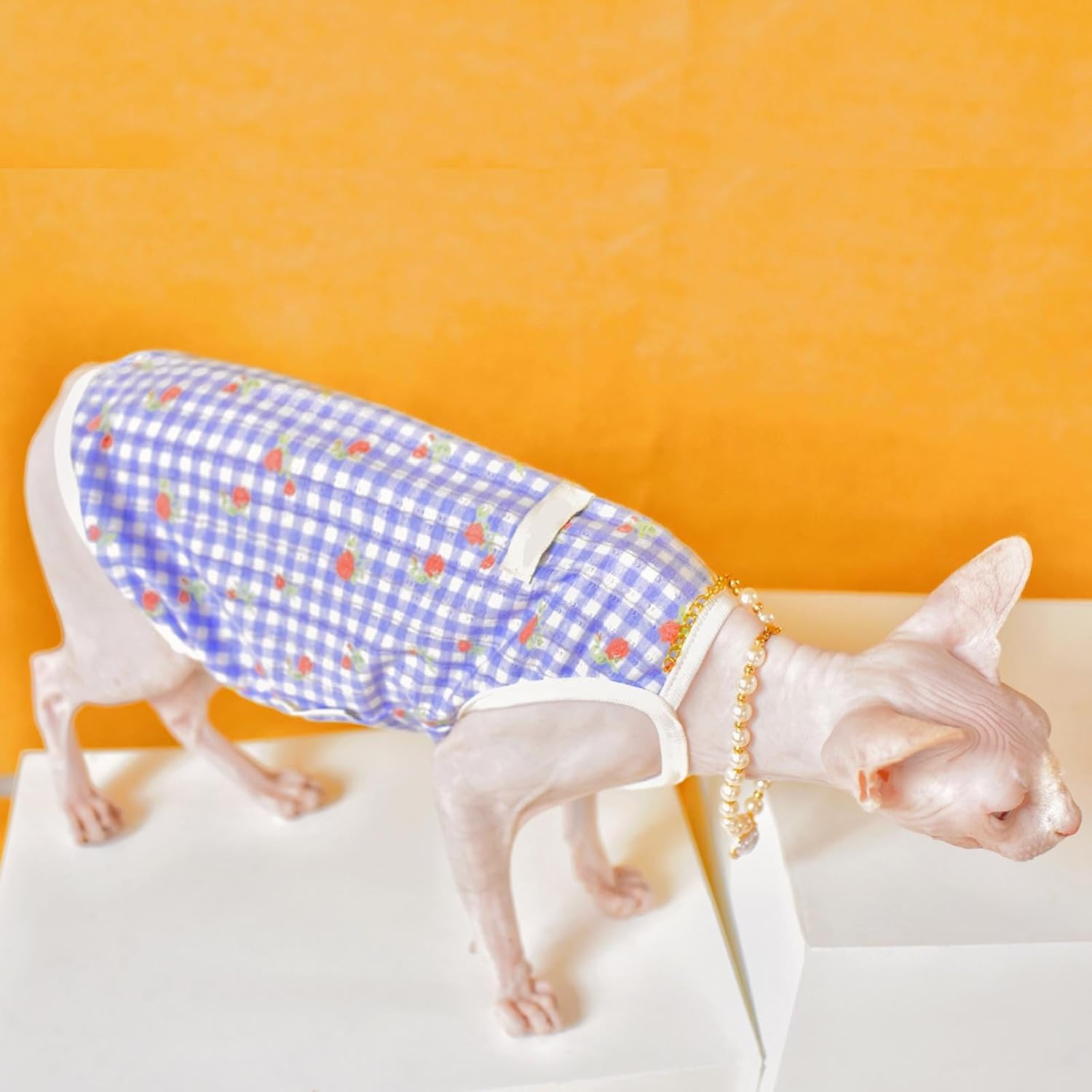 UOSIA Sphynx Hairless Cats Shirt Cornish Rex Plaid Kitten T-Shirts Hairless Cat Summer Vest Breathable Cat Daily Wear Clothes Small Dogs Apparel Pet Pajamas