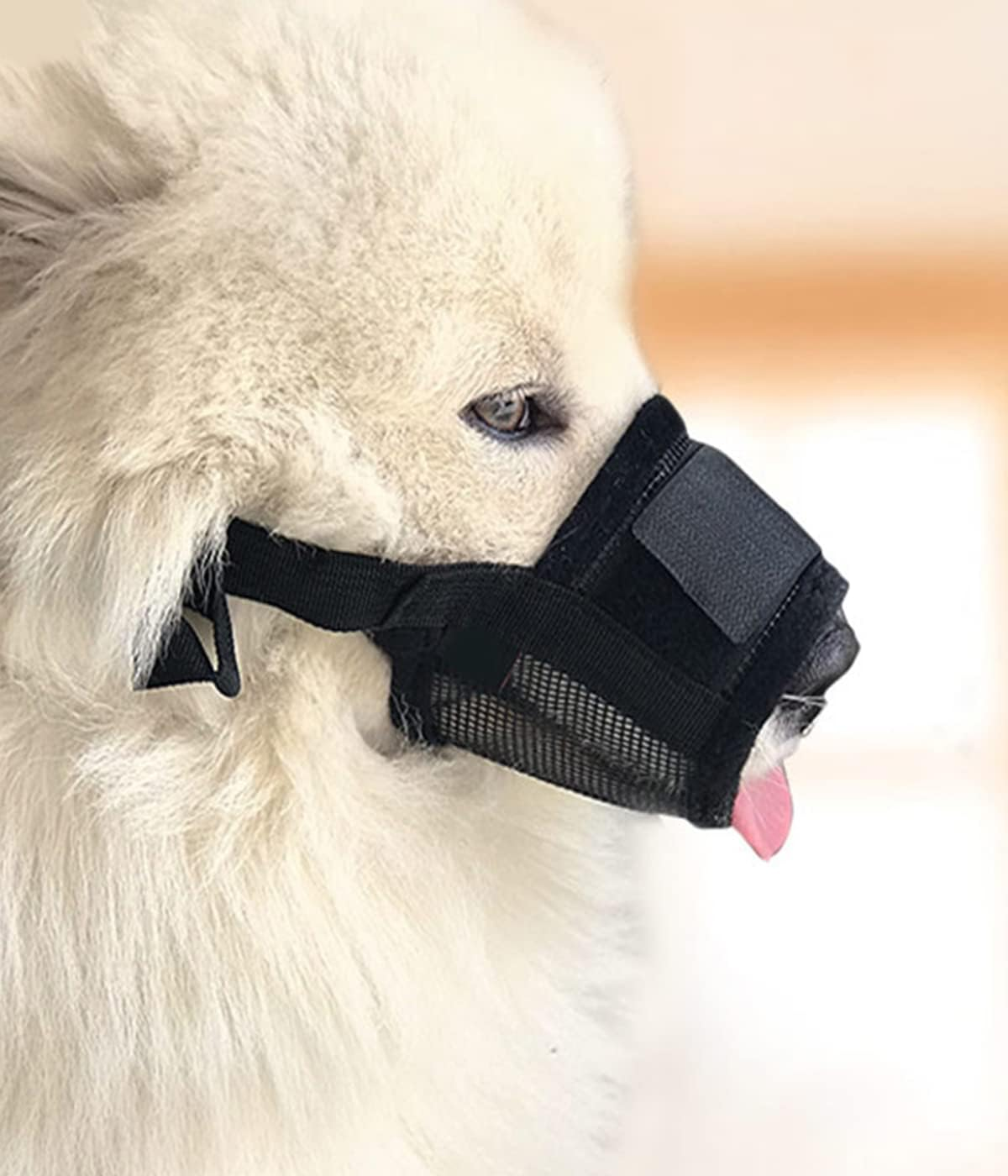 Pack of 2 Nylon Muzzles for Dogs, Breathable, Safe, Quick Fit for Small, Medium Dogs, Breathable Mesh, Prevents Biting, Chewing and Barking (L, Black Yellow) image number 2