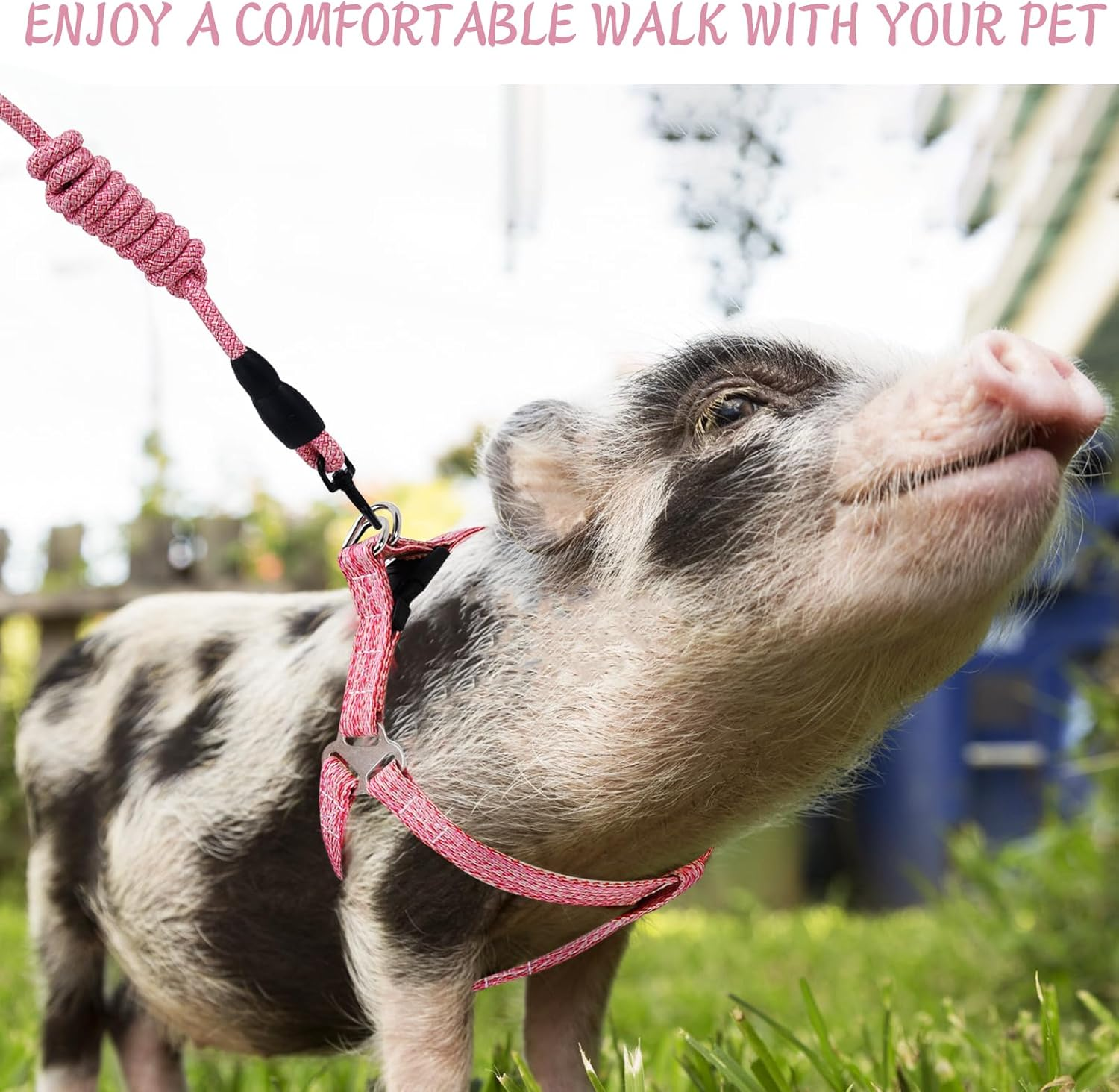 Mini Pig Harness, Adjustable Small Pig Harness with Leash Infinity Style Lead and Soft Foam Handle for Small to Medium Pet Pigs Walking Training Jogging（Pink） image number 3
