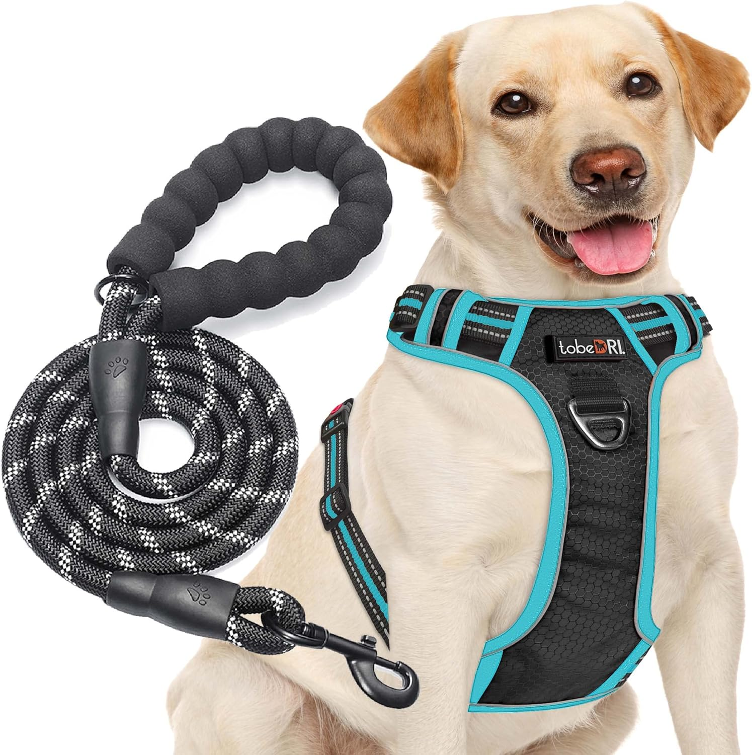 No Pull Dog Harness Adjustable Reflective Oxford Easy Control Medium Large Dog Harness with a Free Heavy Duty 5Ft Dog Leash (L (Neck: 18"-25.5", Chest: 24.5"-33"), Blue Harness+Leash)