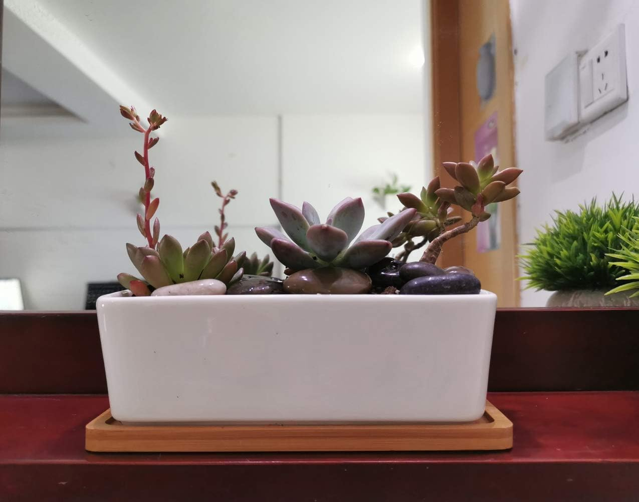 LANKER 6.5 Inch Rectangle White Ceramic Succulent Planter Pot Decorative Cactus Plant Pot Flower Container with Bamboo Tray (Rectangle 6.5 Inch) - Rectangle 6.5 Inch image number 5