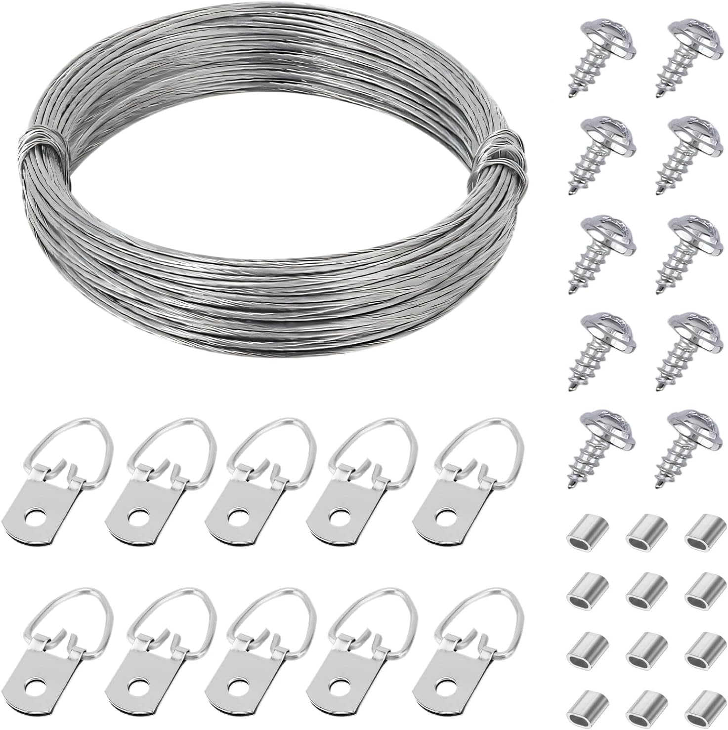 Stainless Steel Picture Hanging Kit, 10M Heavy Duty Wire Rope 10 D-Ring Hangers 10 Screws 10 Aluminum Crimping Sleeves, Wall Hanging Kit for Photo Clock Frame Mirror Artwork Light Lamp Billboards