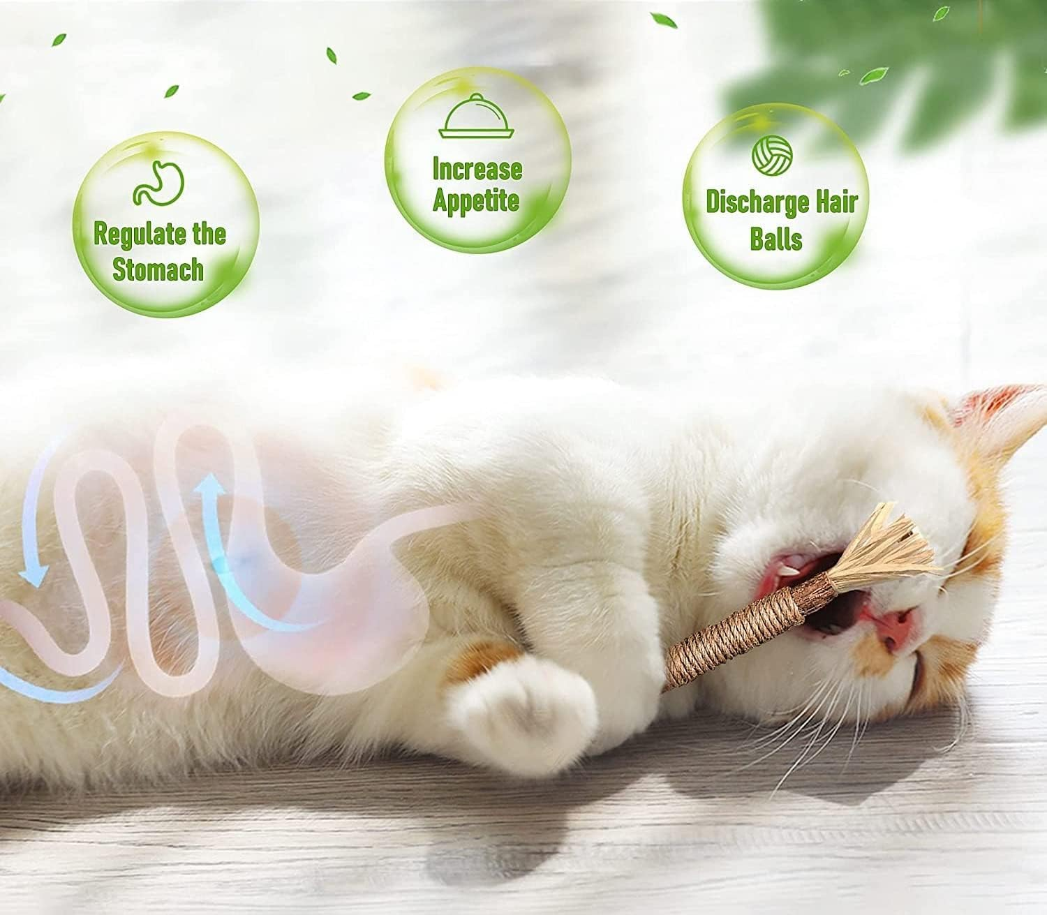 6PCS Catnip Molar Scratch Toys, Self Play Extended Cat Cotton Rope Toys with Silvervine Fruit, Natural Catnip Kittens Cat Chew Toy for Teeth Cleaning, Interactive Cat Dental Stick for Cat Kitty