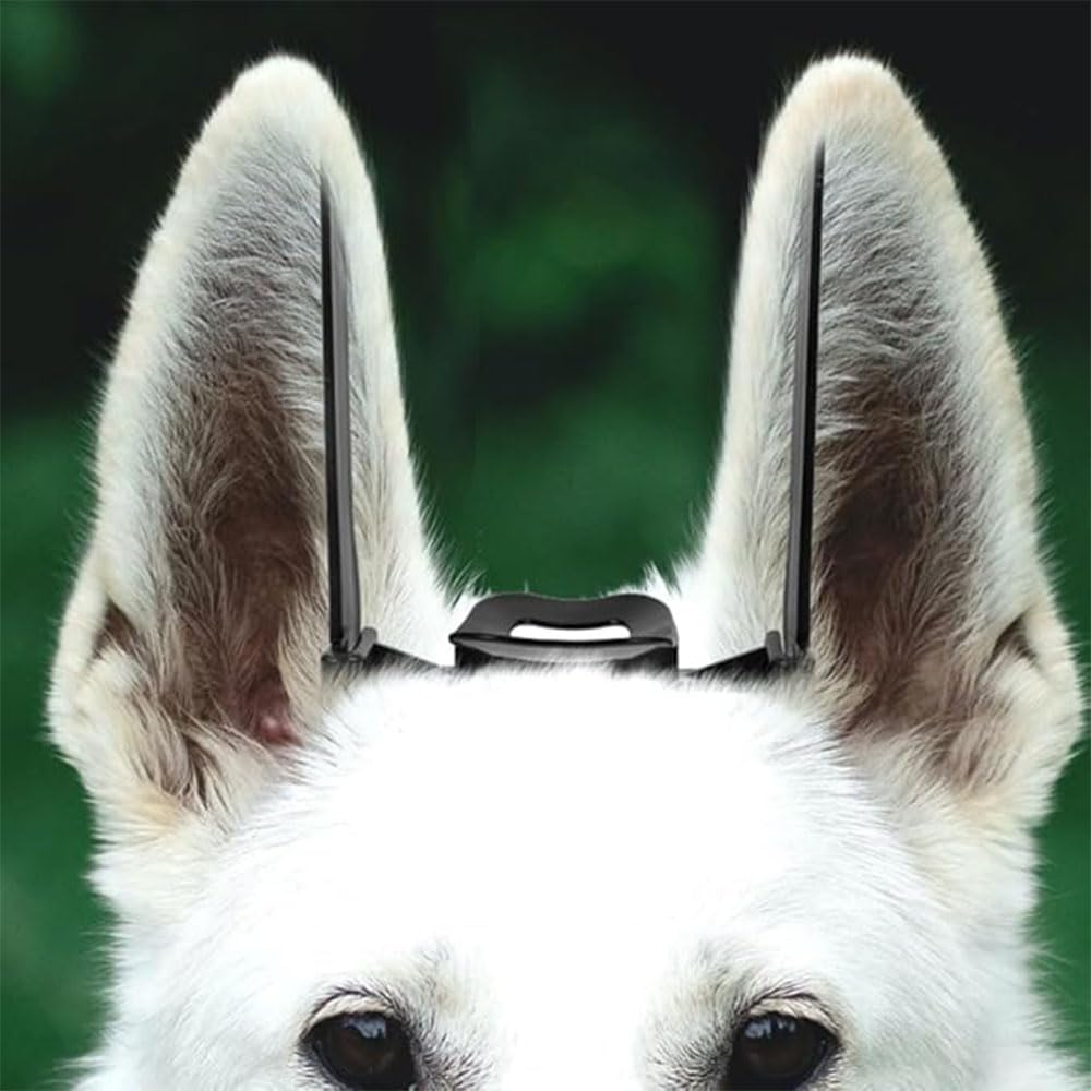 2 Sets Dog Ear Posting Kit,Dog Ear Stand up Support Tool with Tape,Ear Erector Fixed Correction Vertical Dog Ear Standing Holder,Puppy Ear Support,Dog Ear Posting Kit image number 3