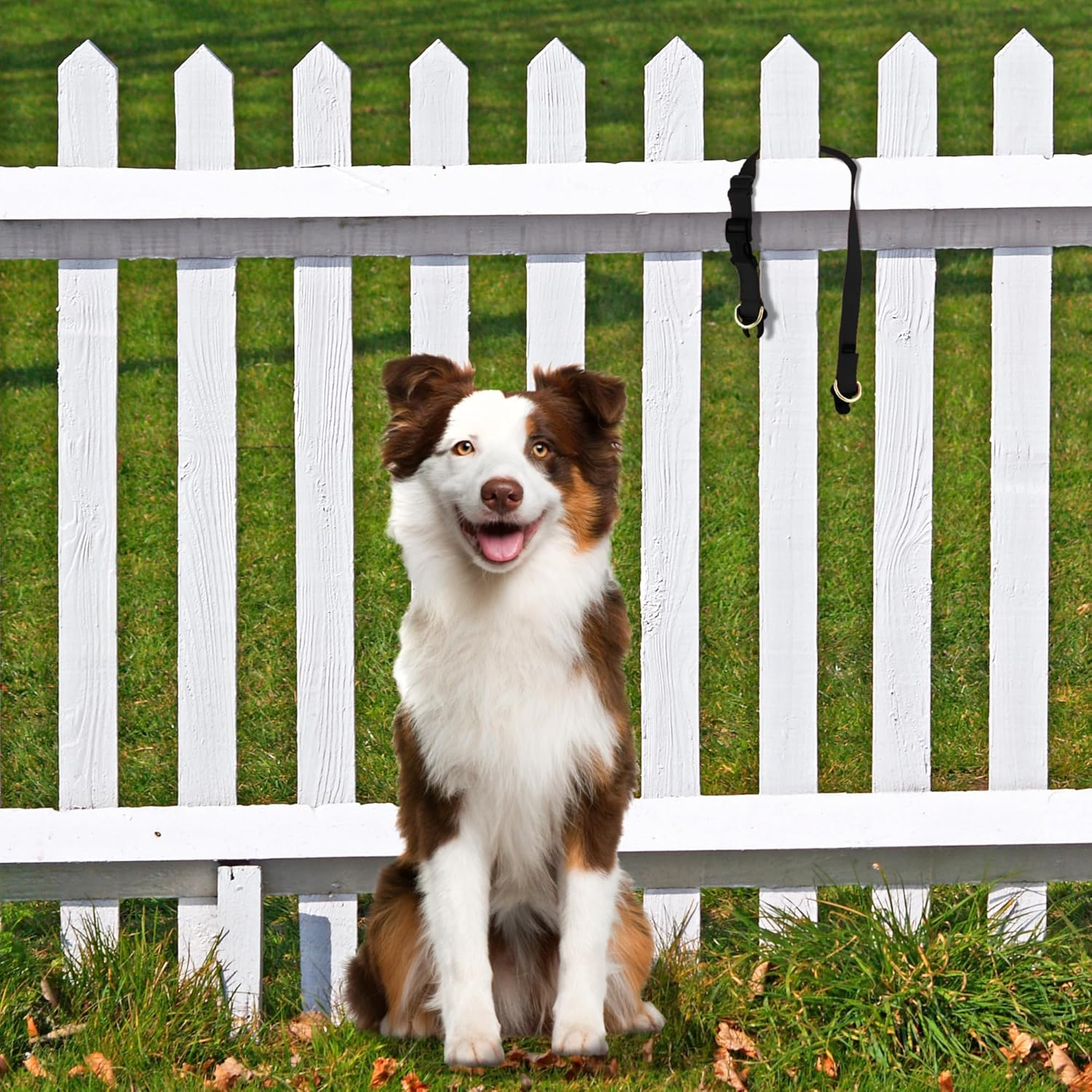 Petsafe Keepsafe Break-Away Collar, 1-Inch Medium, Red image number 2