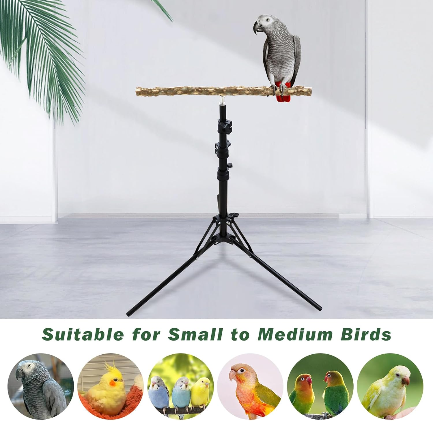 Wooden Bird Perch Stand with a Height Adjustable Tripod, Bird Training Accessories for Indoor or Outdoor, Bird Stand for African Grey, Budgies, Cockatiels, Lovebirds, Conures, Small to Medium Birds image number 5