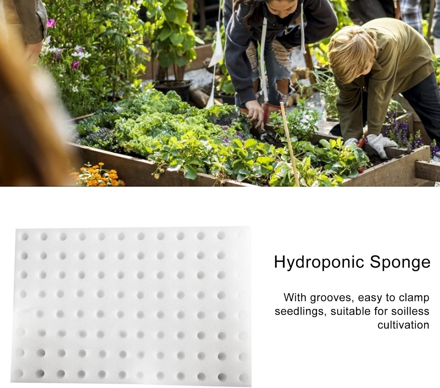 LJCM Hydroponic Sponge, Soilless Cultivation Seedling Sponges, White, 30X20X2.5Cm, 96Pcs Blocks image number 6