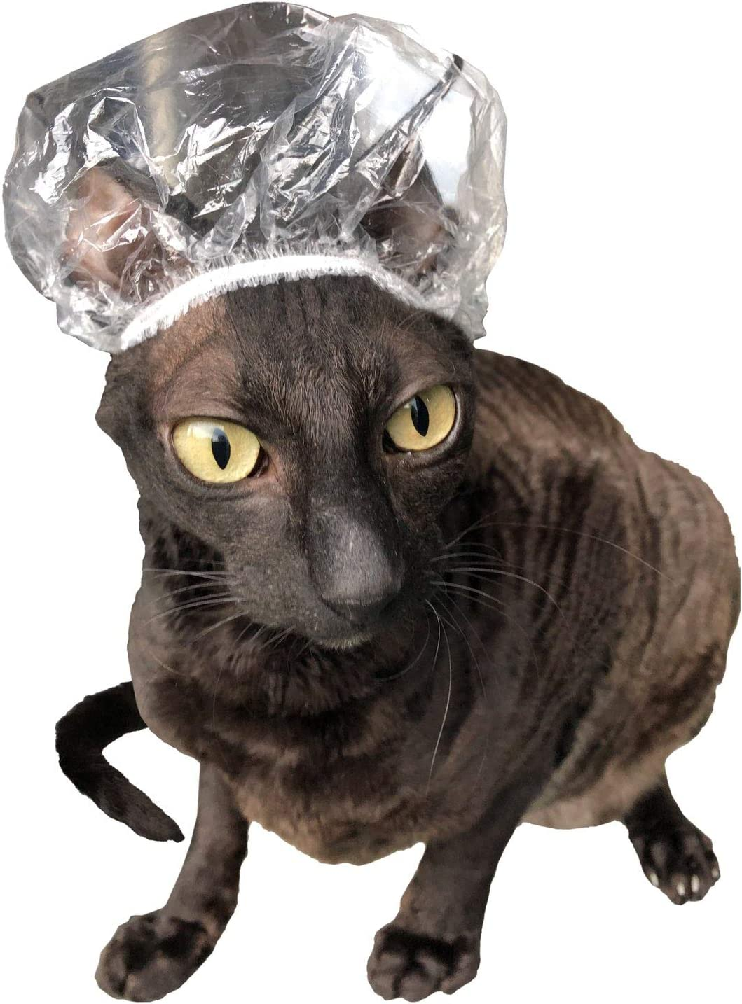 Kotomoda 20 Shower Caps for Sphynx Cats and Other Hairless Cats in a Tin Gift Box image number 4