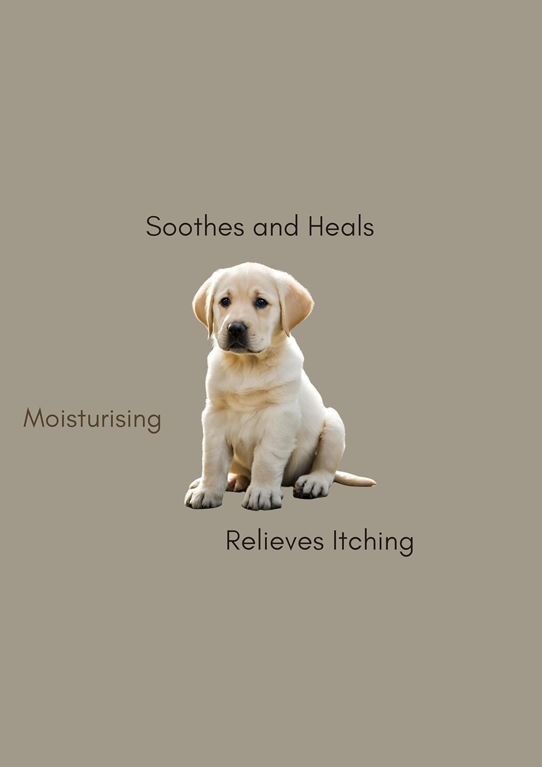 Nose and Paw Balm| Dog Cream| Australian Made Pet Balm | All Natural Dog and Cat Balm image number 1