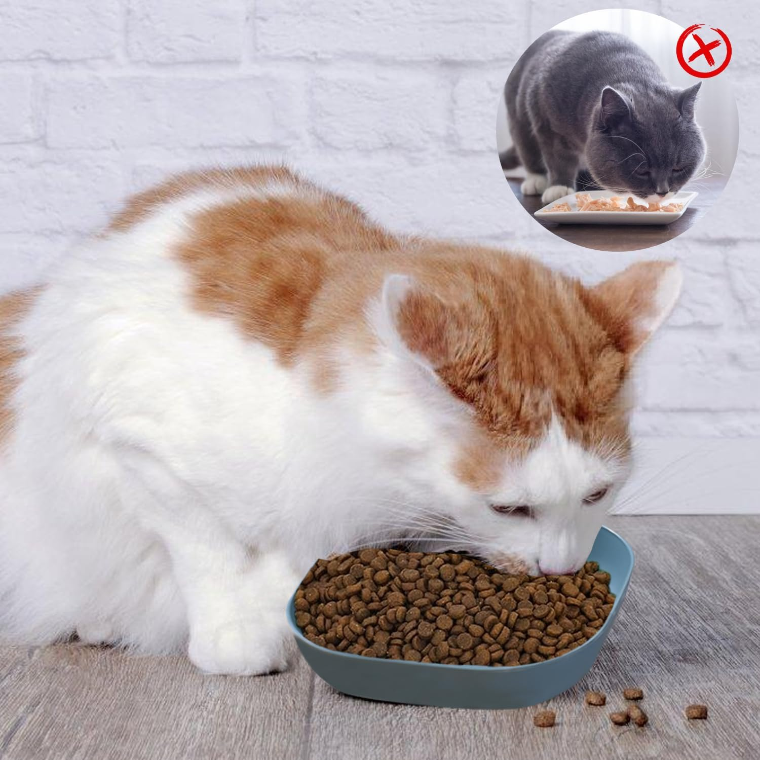 HOMURY Cat Feeding Bowl Set of 9, Square Cat Plate, Flat Cat Bowl, Cat Bowl, Small Cat Feeding Bowl, Cat Bowl for Dry Food and Wet Food image number 5