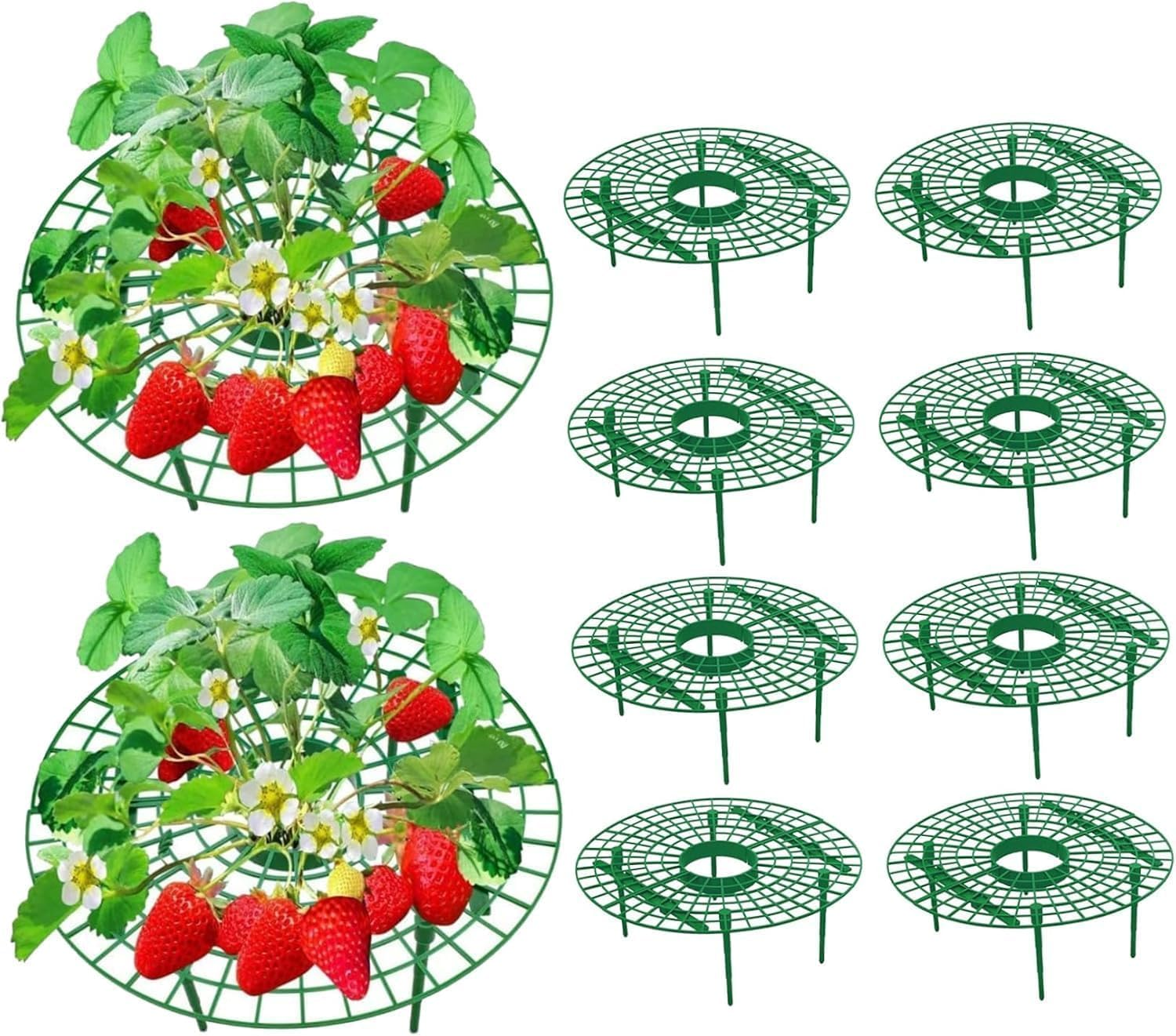 10 Pack Strawberry Plant Stand - Large Strawberry Planting Frame to Keep Garden Strawberries Clean, Detachable Plant Stand to Keep Garden Strawberries Clean image number 1