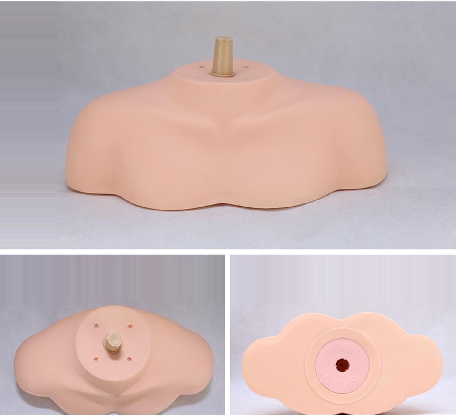 Mannequin Shoulder Model Realistic Human PVC Bust Stand Showcase Cosmetology Students