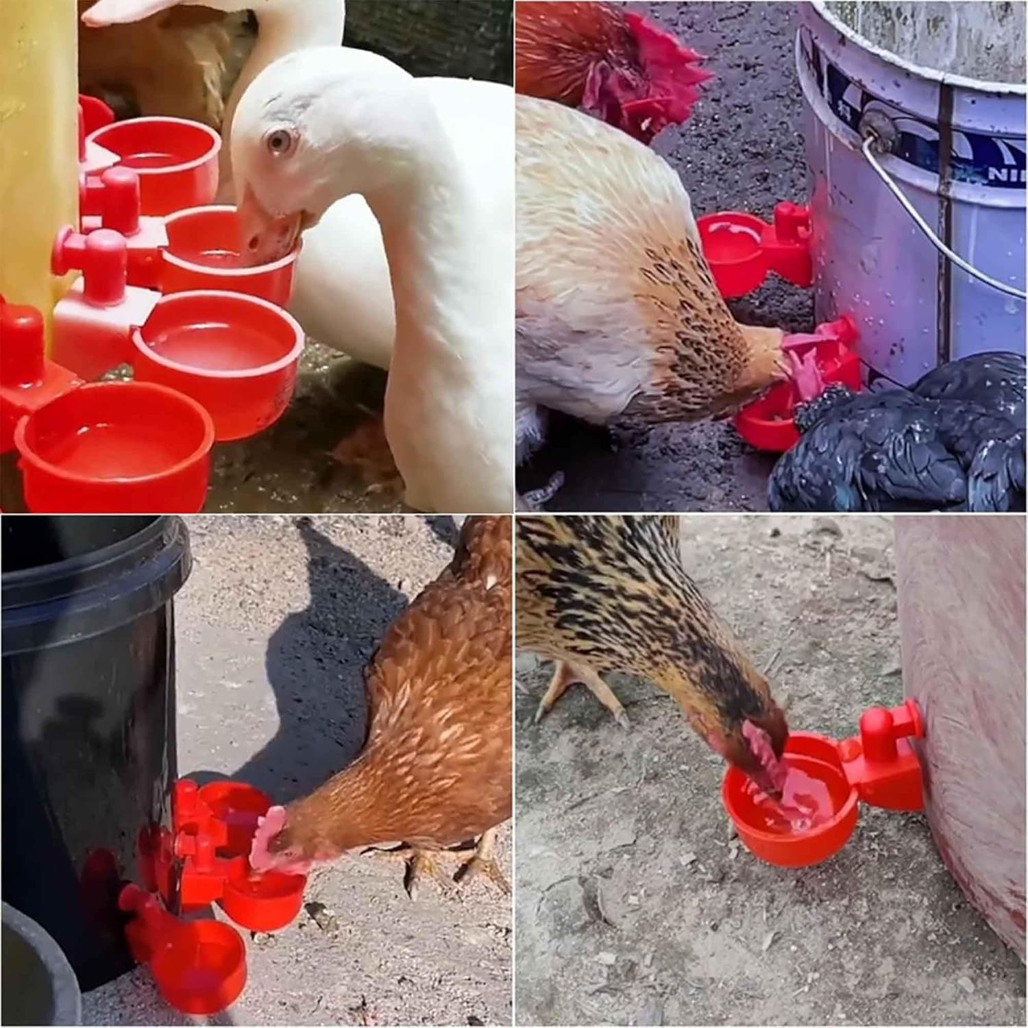 DTOTSFCZF 6 Pcs Chicken Feeder Water Dispenser Coop Accessories Band Hole Saw for Bucket image number 4