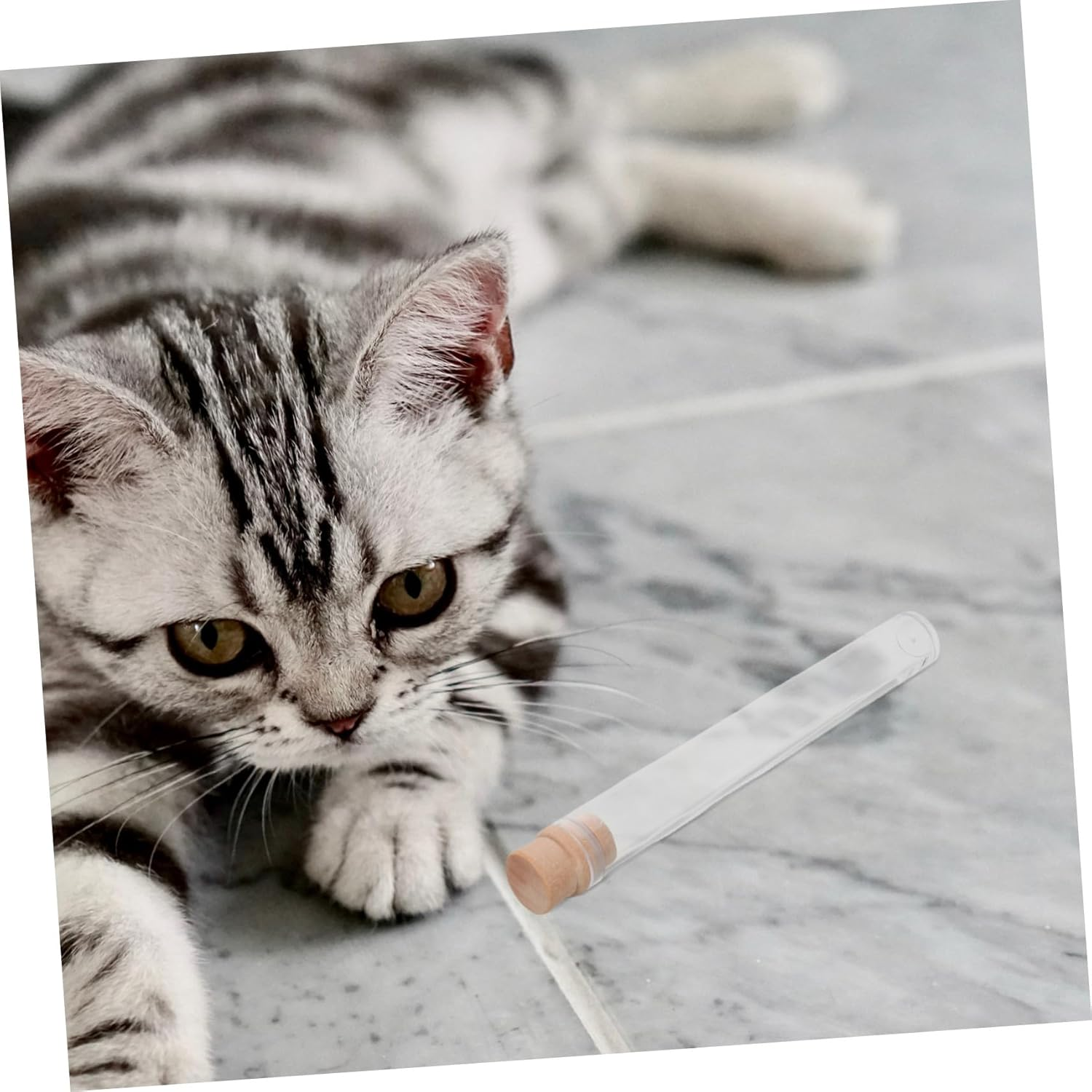 TOGEVAL 2Pcs Pet Hair Storage Bottles with Stopper Transparent Cat Whiskers and Dog Hair Keepsake Jars Portable Compact Memorial Containers for Home Display and Travel image number 5