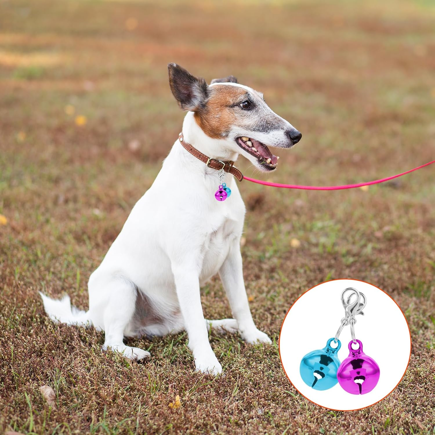 12 Pieces Cat Bell Dog Bell Dog Collar Charms Colorful Cat Collar Bell Loud Pet Collar Bells Charms Small Cat Collar Bells Charms with Clasps for Cat Dog Puppy Collers DIY Crafts Party Decorations, No image number 2