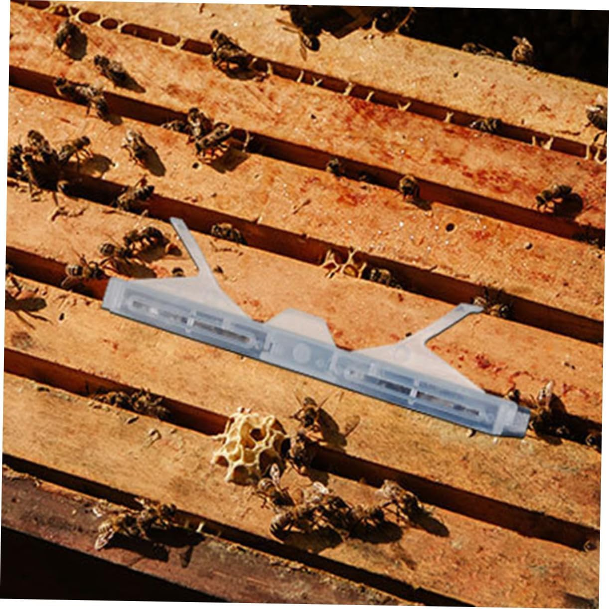 Yardwe 6Pcs Clear Small Hive Beetle Traps for Beekeepers Reusable Plastic Beetle Collector with Baitable Compartments Easy Install Beekeeping Supply