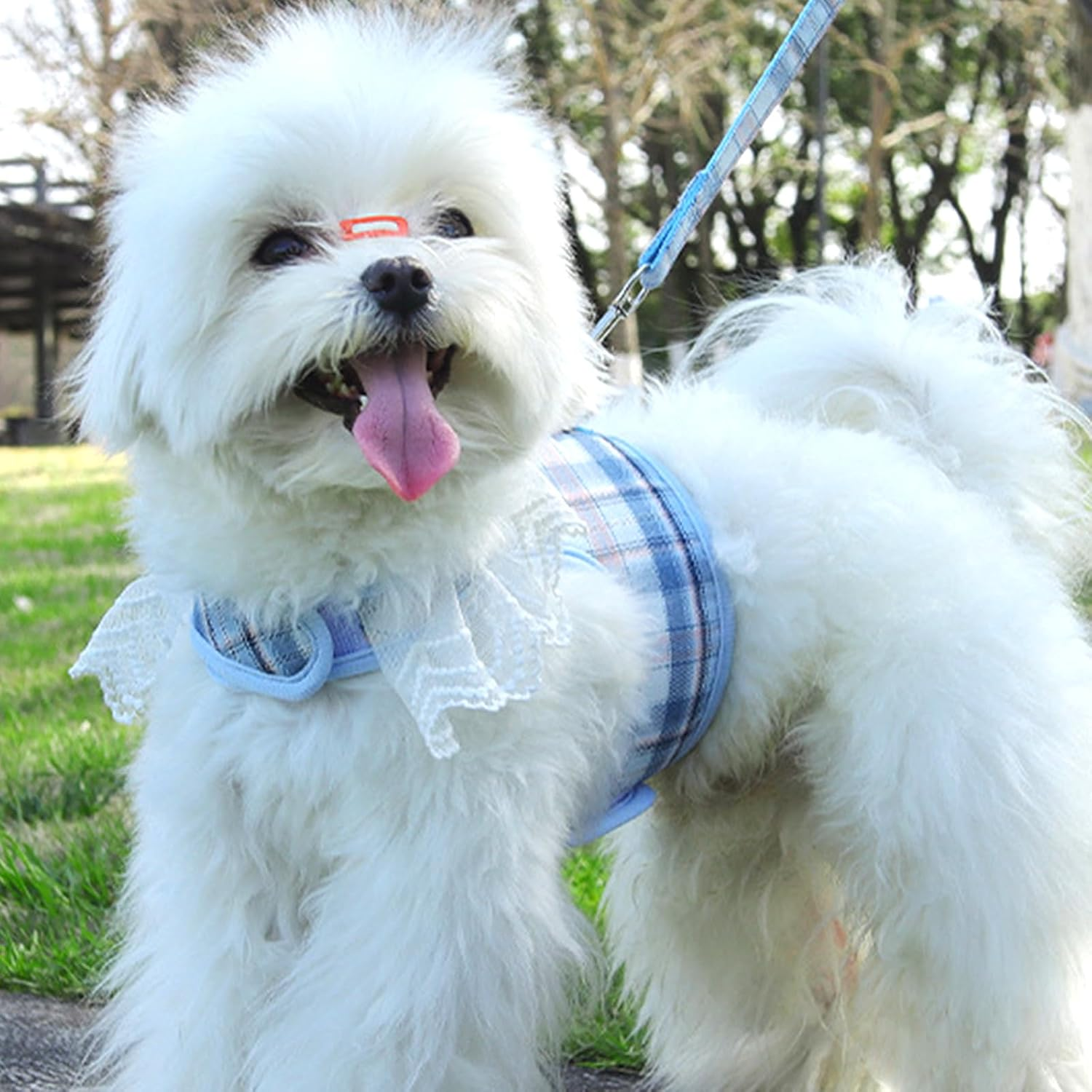 Cat Vest Harness and Lead Sets, Escape Proof Puppy Kitten Vest Harnesses, Adjustable Kitten Harness and Lead Set, for Small Medium Cats Pets Outdoor Walking Escape Proof (Blue)