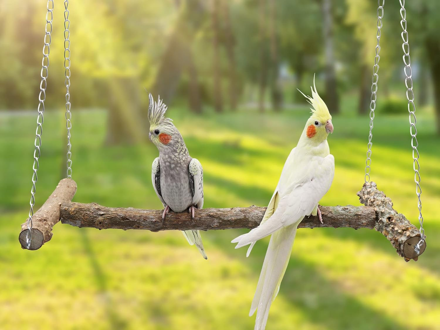 Large Bird Perch Swing Toy, Natural Pepper Wood Parrot Perch Stand Toy, Hangable Birdcage Accessories with Stainless Steel, Bird Chewing Toy for Parrot Parakeet Budgies Lovebirds(18&times;10 Inches(L&times;W)) image number 4