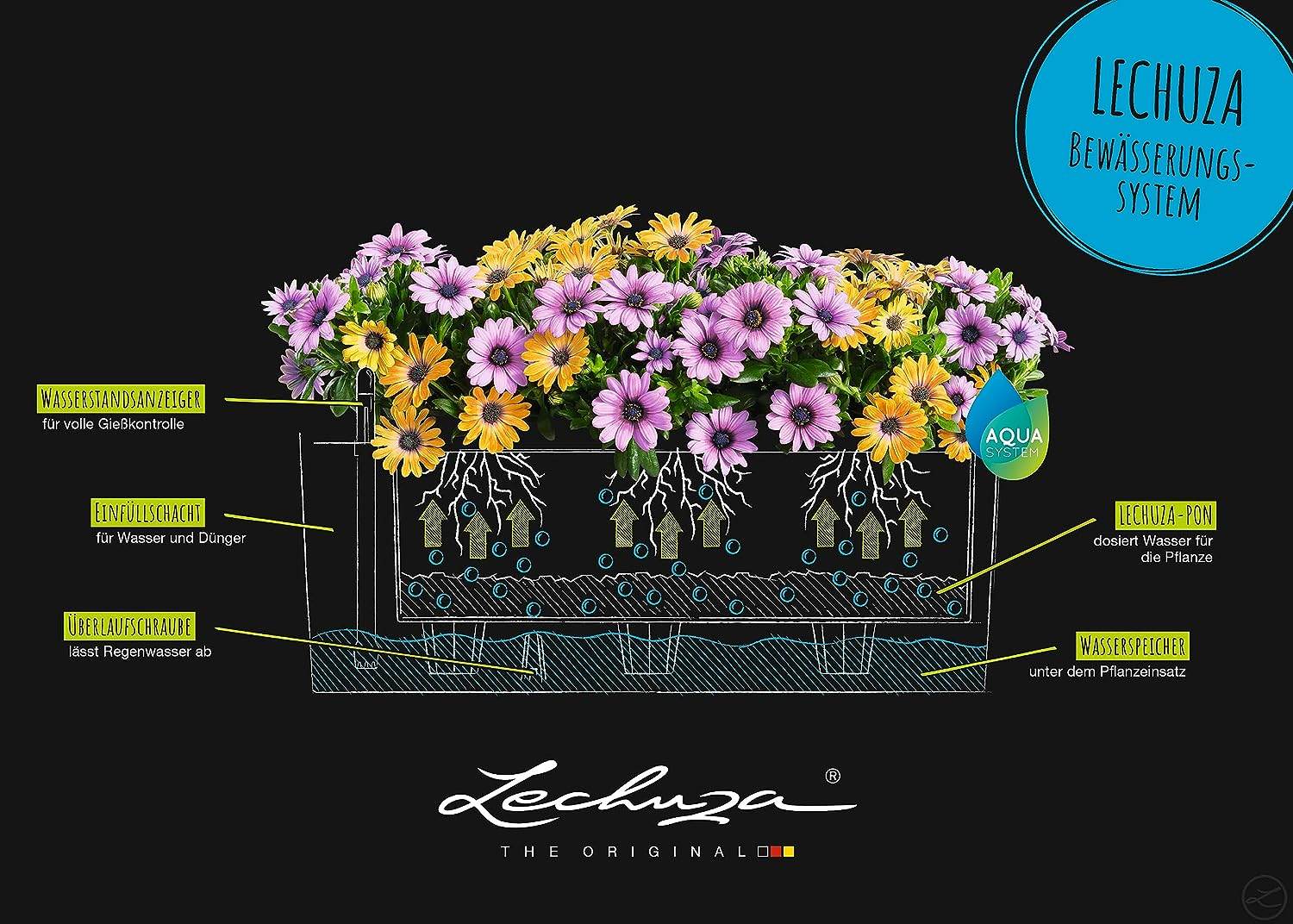 Lechuza 15674 Balconera Color 50, Nutmeg Matte, 20" X 8" X 8" Self Watering Planter, 50Cm=19.68 image number 4