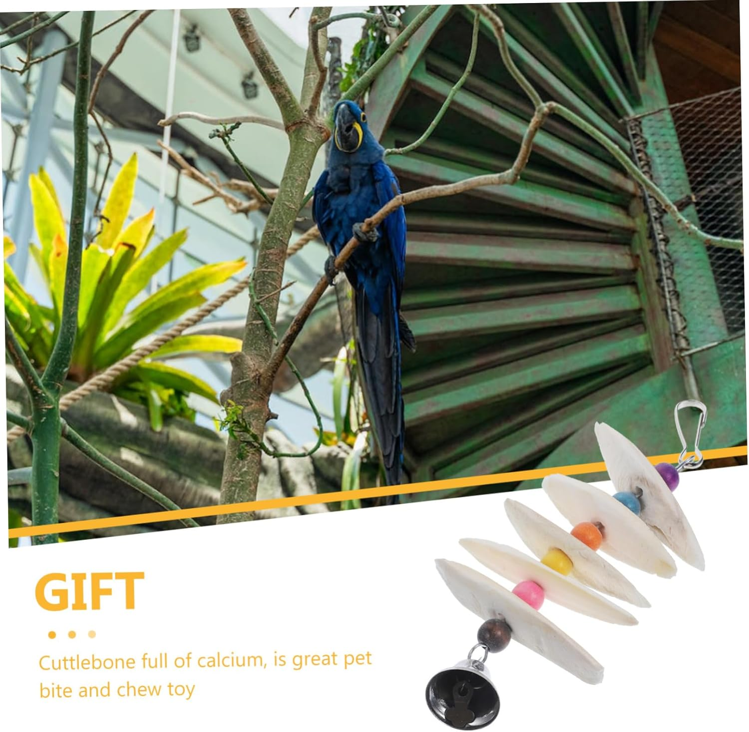 BESPORTBLE Natural Cuttlebone Toys for Pet Birds Parrot Chewing Toy Bird Beak Sharpener