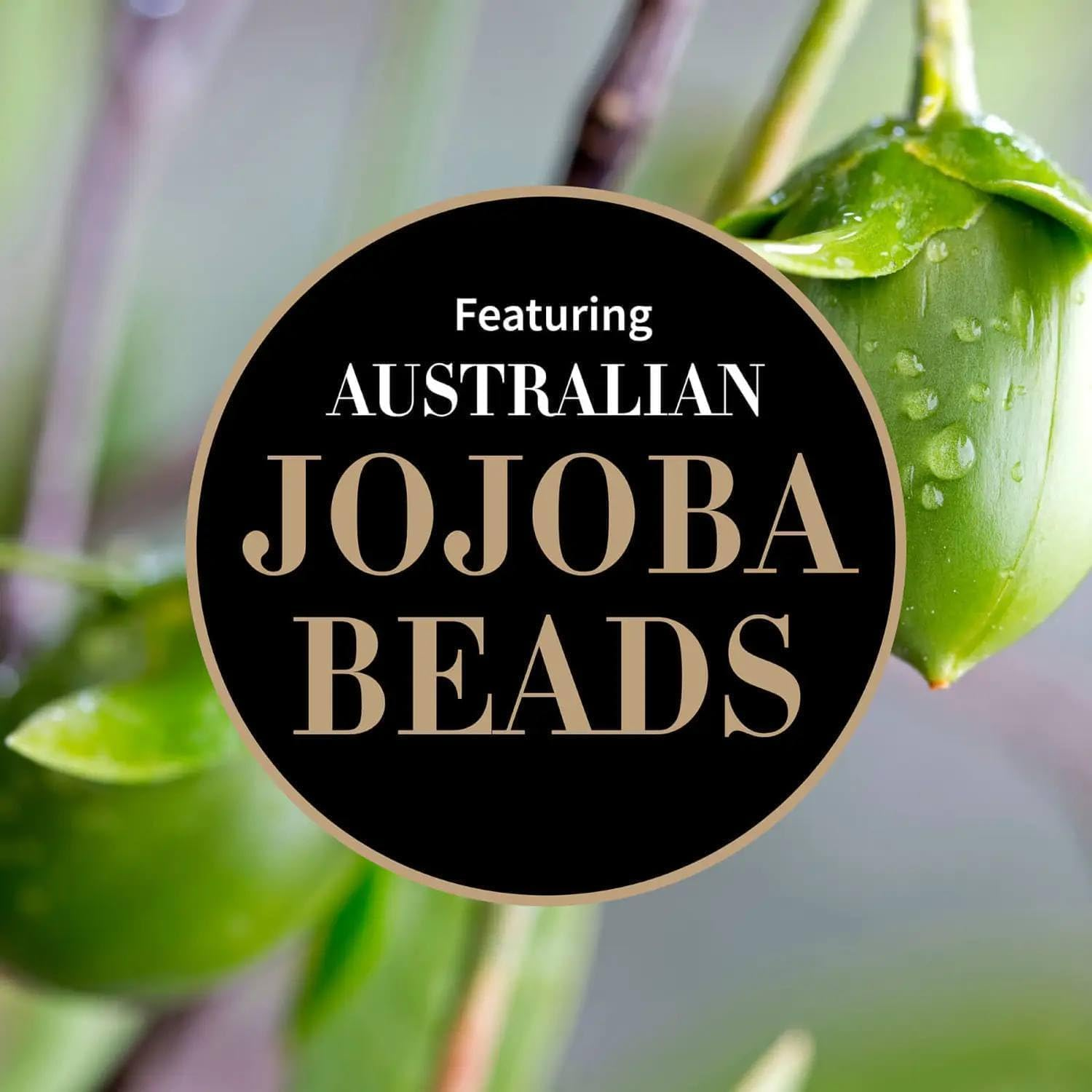 ANTIPOD Reincarnat Pure Facilpolish75Ml image number 4