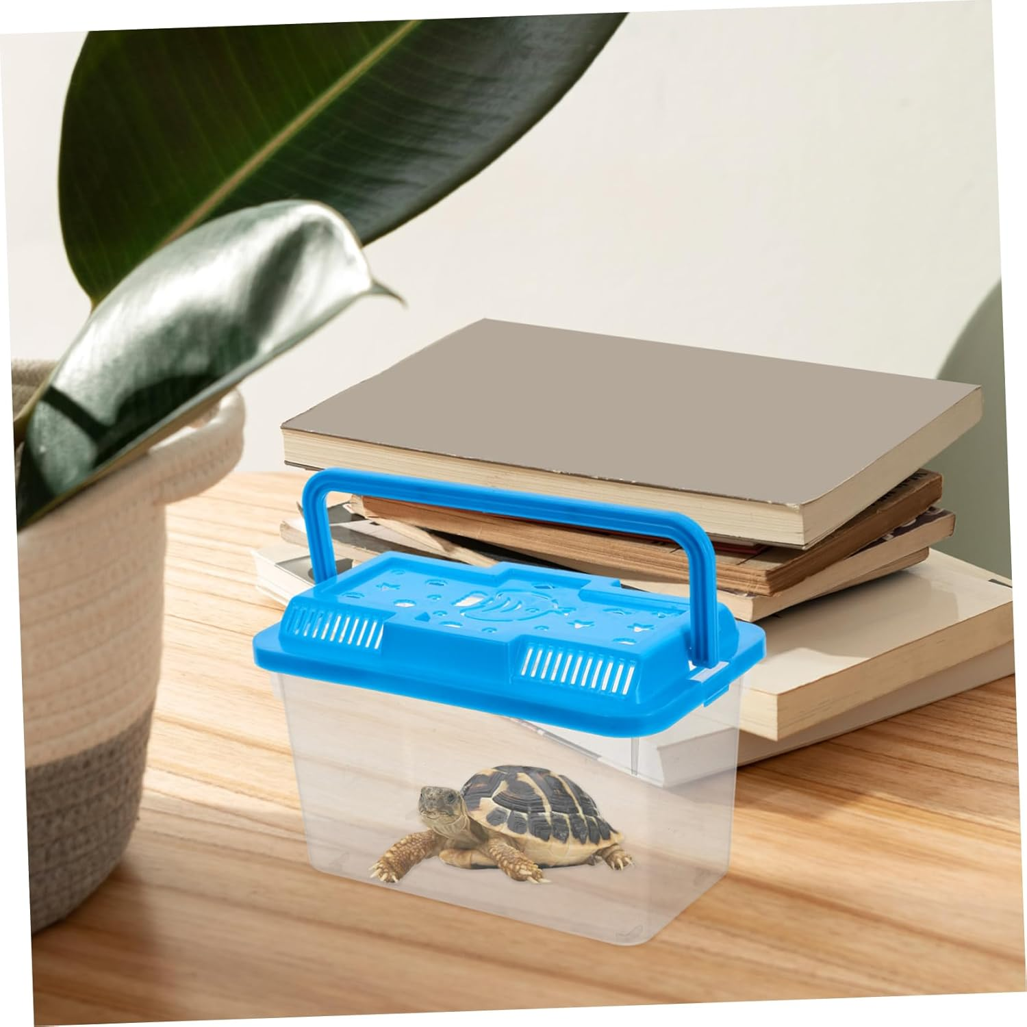 Levemolo Small Fish Tank Box Portable Design for Aquatic Pets Turtles Reptiles Home Decor image number 4