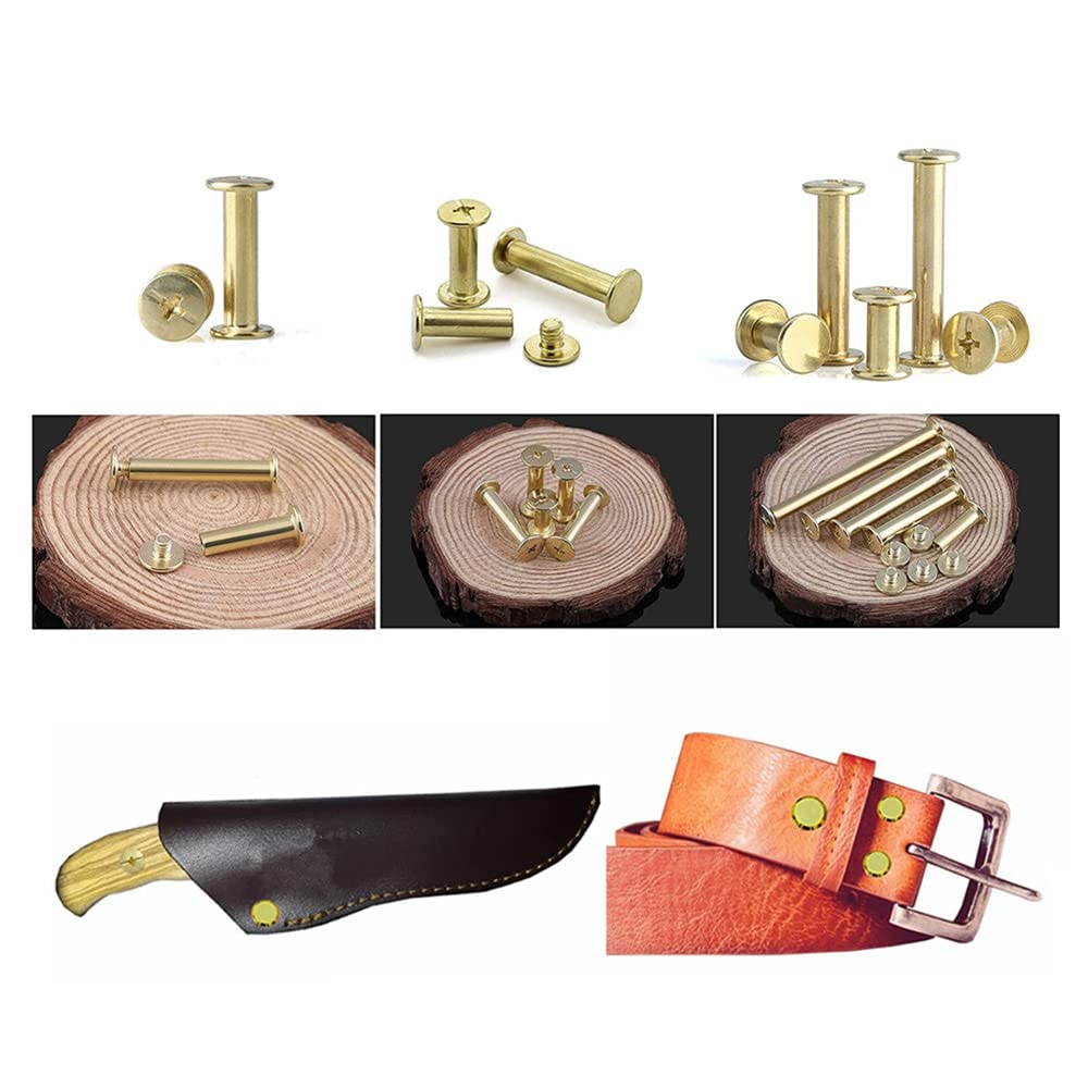 100 Sets Binding Chicago Screws, 5 Size Screw Posts for Bookbinding, Leather Photo Albums, round Flat Head (M5X5/6/8/10/20 Mm)