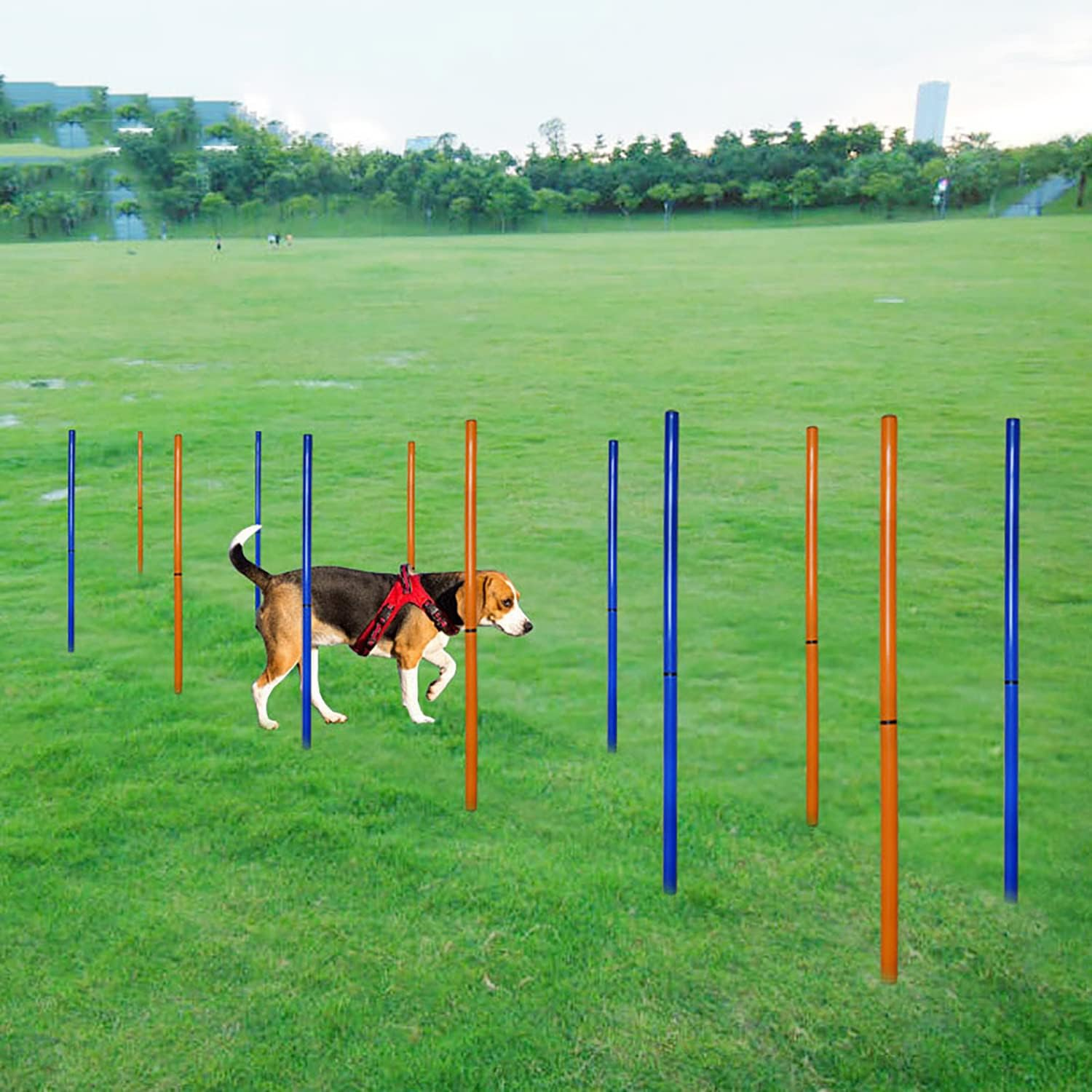 Dog Agility Weave Poles Dog Agility Training Equipment with Adjustable Spacing for Dog Obstacle Course Outdoor, Keep Pets Healthy image number 4