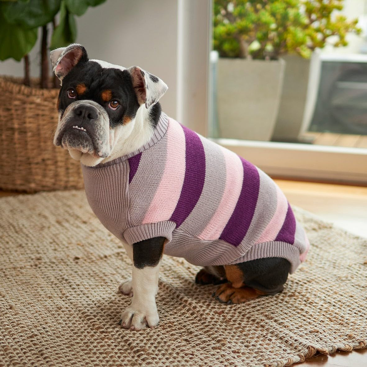 Kazoo Chestie Dog Jumper, Cherry Ripe, 2X-Large image number 5