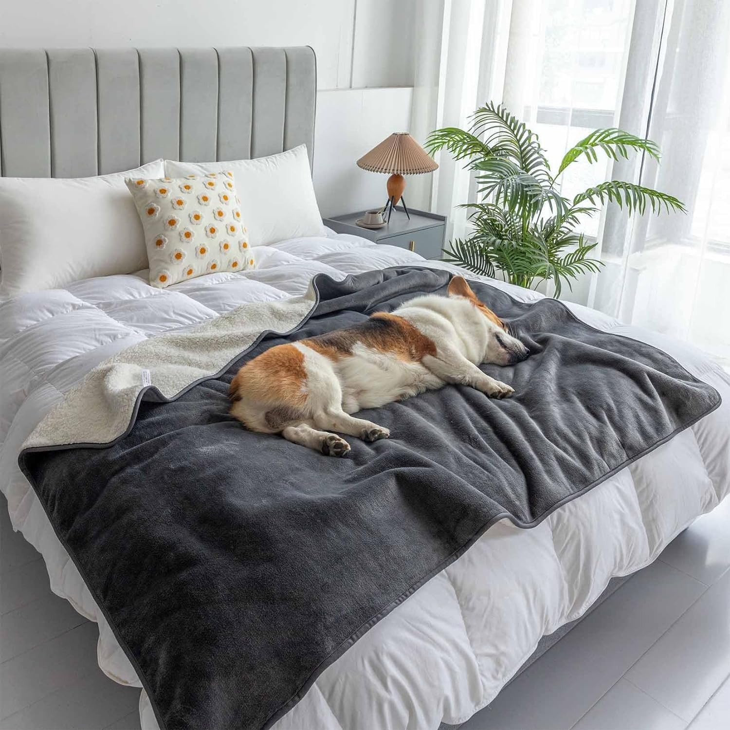 Waterproof Dog Blankets - Cat Blanket Washable for Couch Protection, 3-Layer Flannel and Sherpa Fleece Puppy Blanket, Soft Plush Reversible Throw Furniture Protector, 150 X 127 CM, Grey (150&times;127CM) image number 3