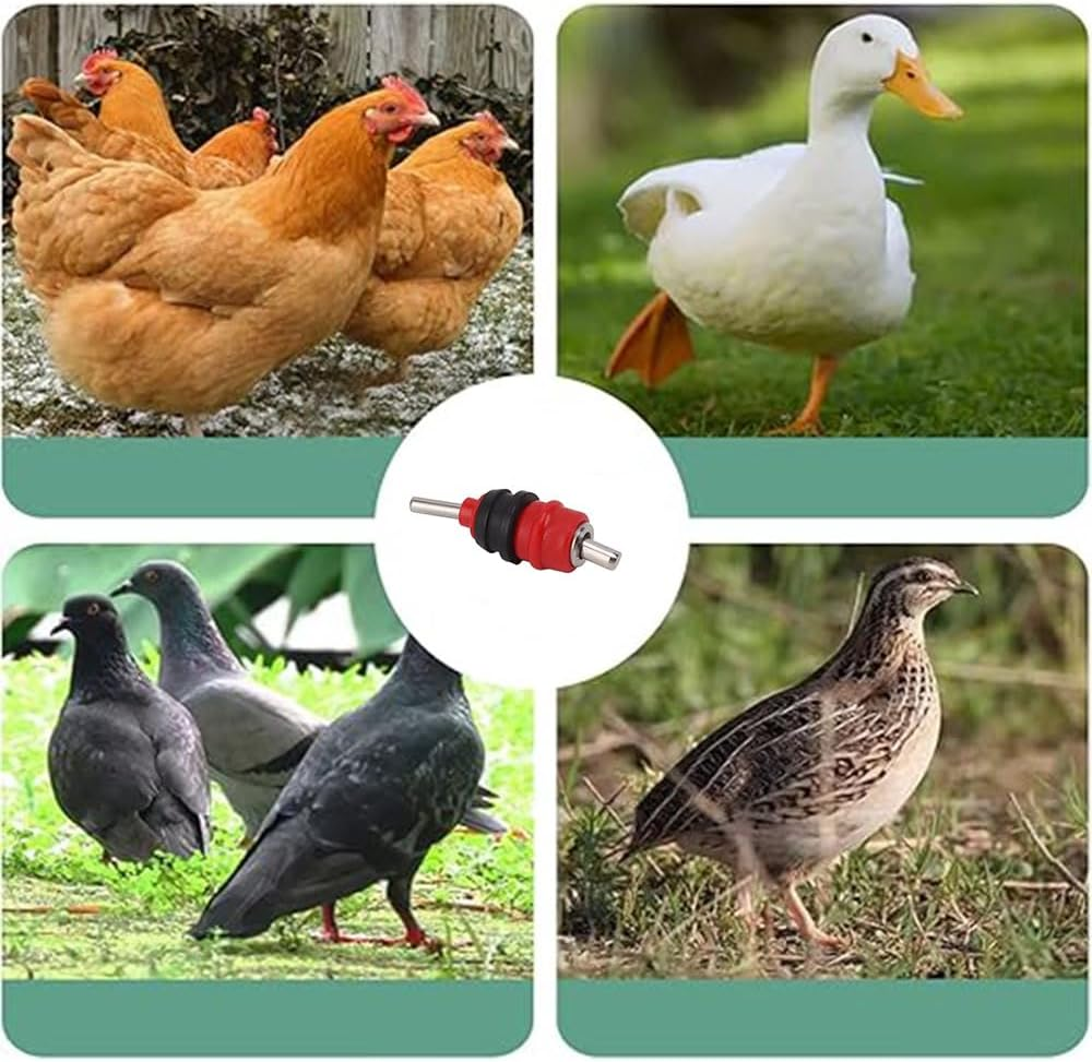 10Pcs Chicken Nipple Drinker Hen Automatic Water Feeder Screw Style Poultry Waterer,Automatic Poultry Waterer Screw in Style Chicken Water Nipples for Chicks image number 5