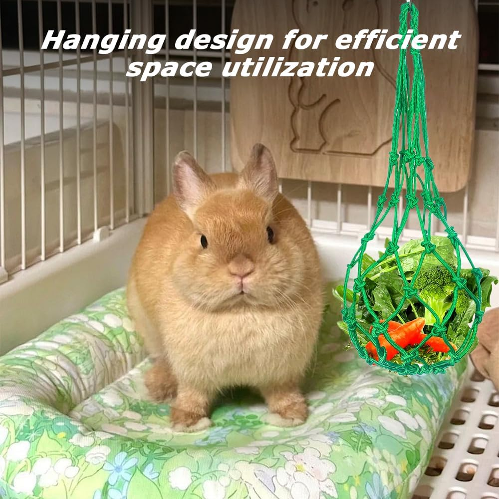 Hanging Chicken Feeder, Fruit Holder & Bird Spiral Feeder, Feed Toy for Chickens, Large Birds, Vegetable Fruits Basket, Green&Yellow image number 5