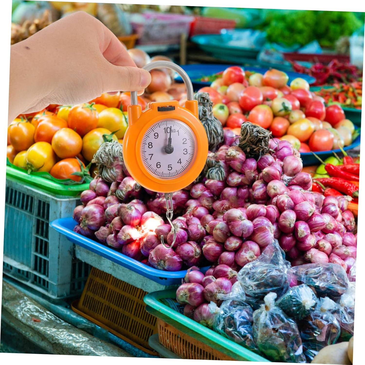 LIGIGWASH Scale for Luggage High Precision Spring Scale Hook for Travel for Fish and Suitcases