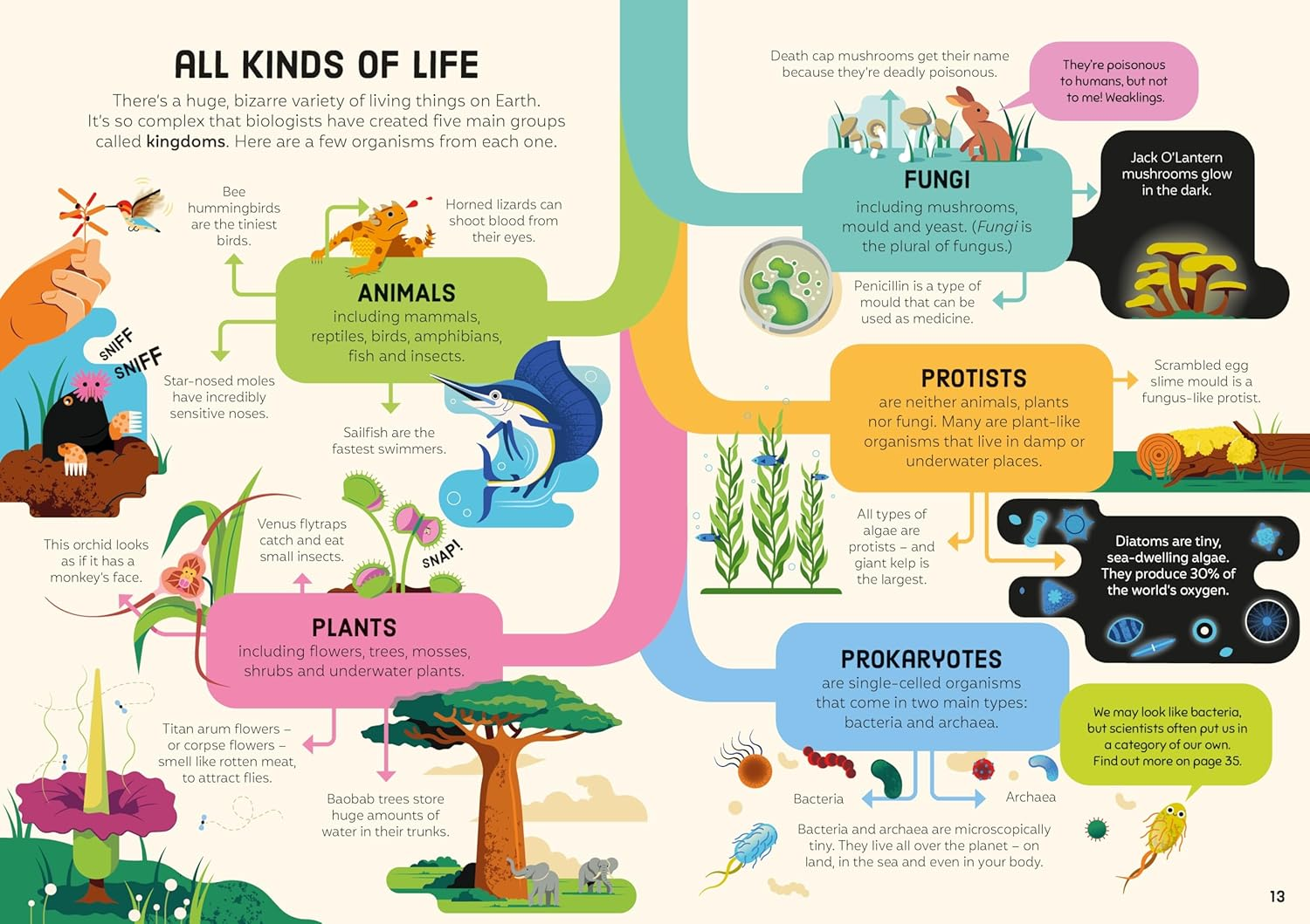 Biology for Beginners image number 4