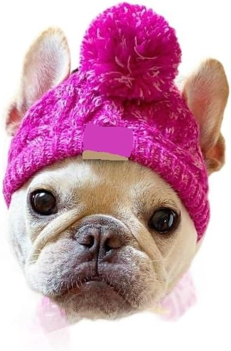 Classic Dog Knit Hat - Knitted Dog Hat with Ear Holes & Adjustable Chin Strap - Dog Beanie for Soft Fabric Beanies for Dogs - Stylish Dog Accessories - Hats for Dogs (Purple, S) image number 1