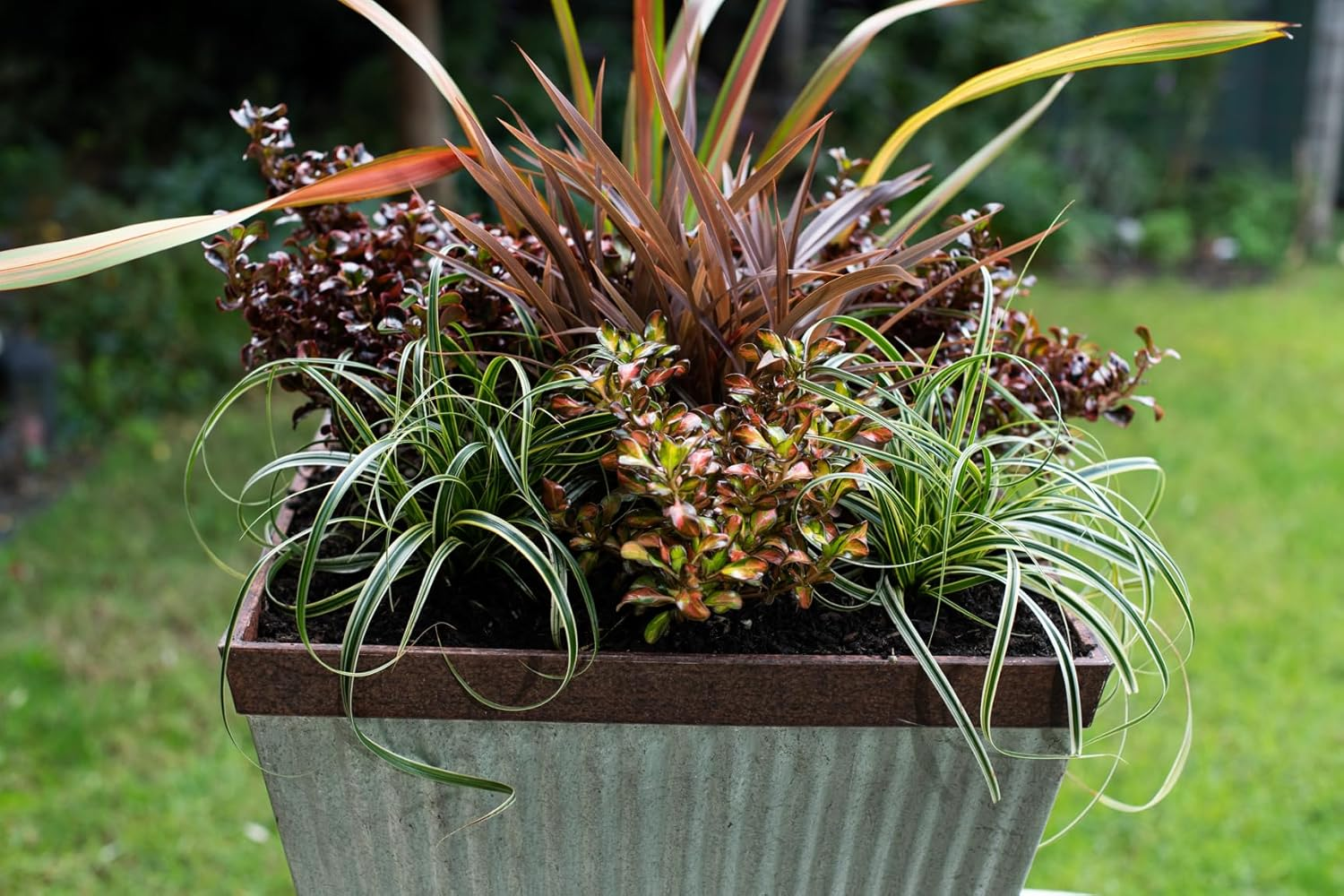 Debco Premium Potting Mix 25 Litre image number 1