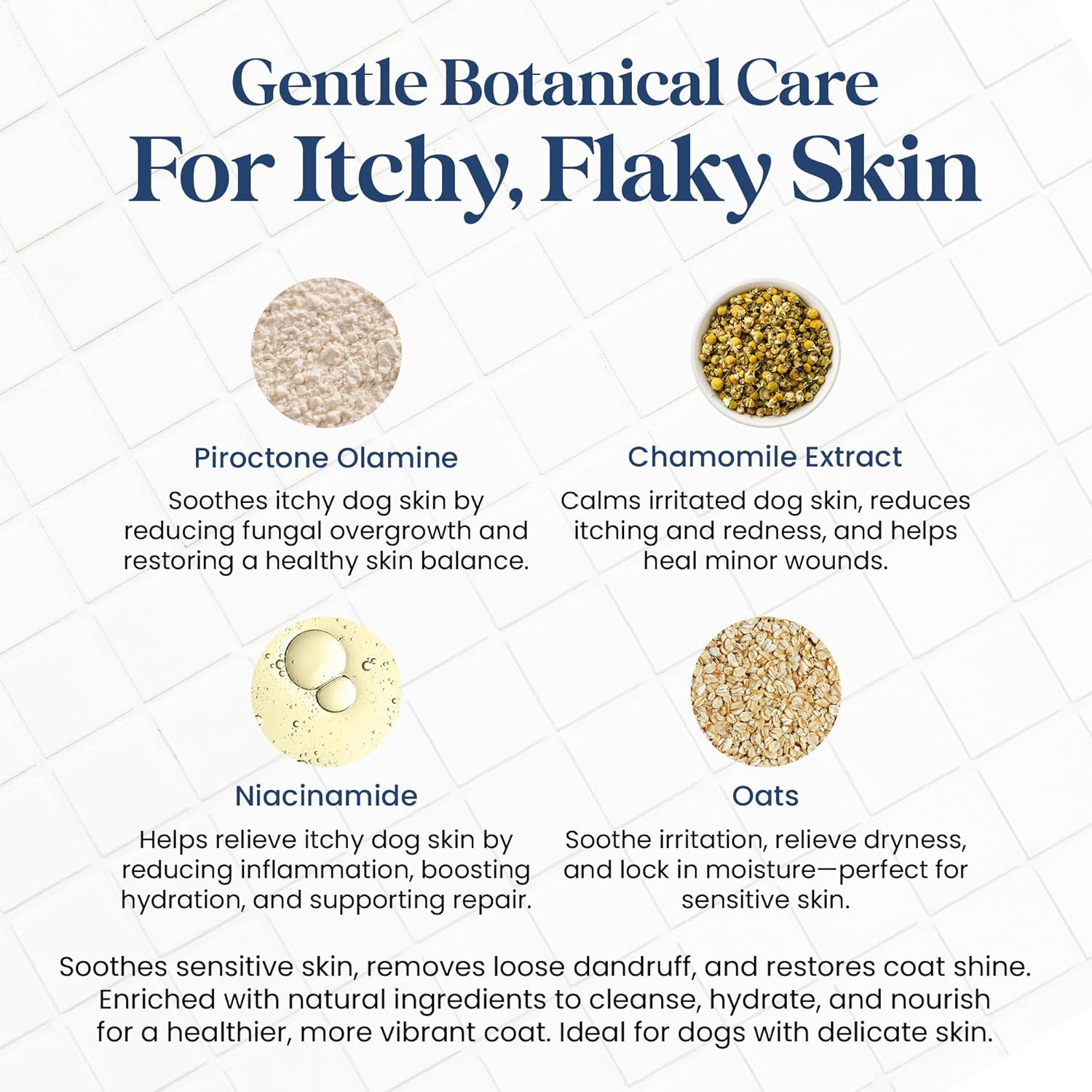 Nourish Pet Co. Derma Shampoo for Itchy Dogs - Dog Shampoo for Sensitive Skin, Hypoallergenic Gentle Cleansing Wash, Soothes Dryness & Irritation, Supports Coat Health image number 2