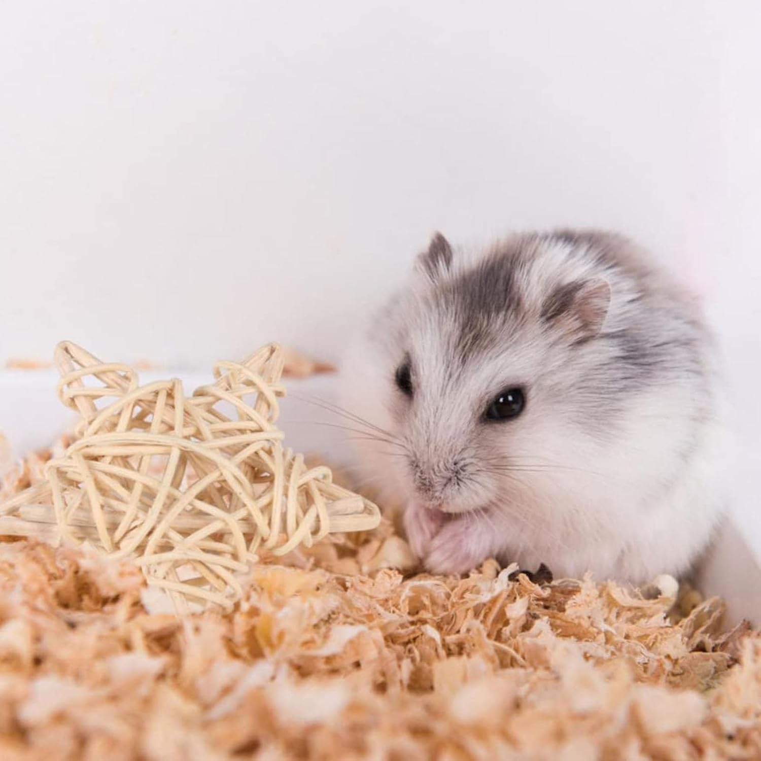 XUTONG 5Pcs Small Animal Chew Toy for Rabbits Bird Pet Chew Toy Tooth Cleaning Toy Wedding Decoration Hamster Carrier Cage image number 5