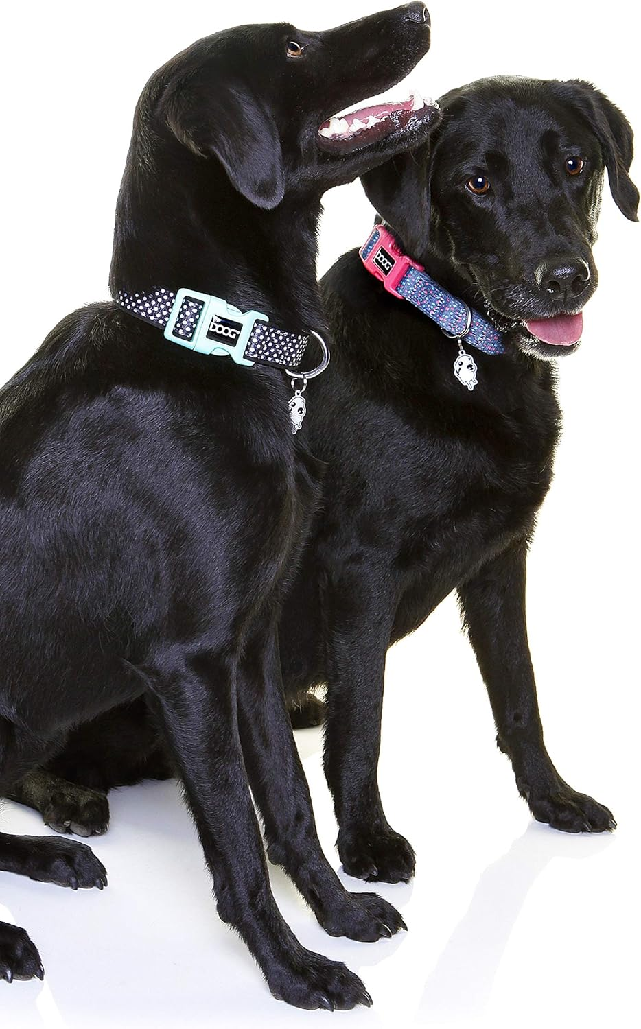 DOOG - Pongo Collar - Large (COLN3-L) image number 1